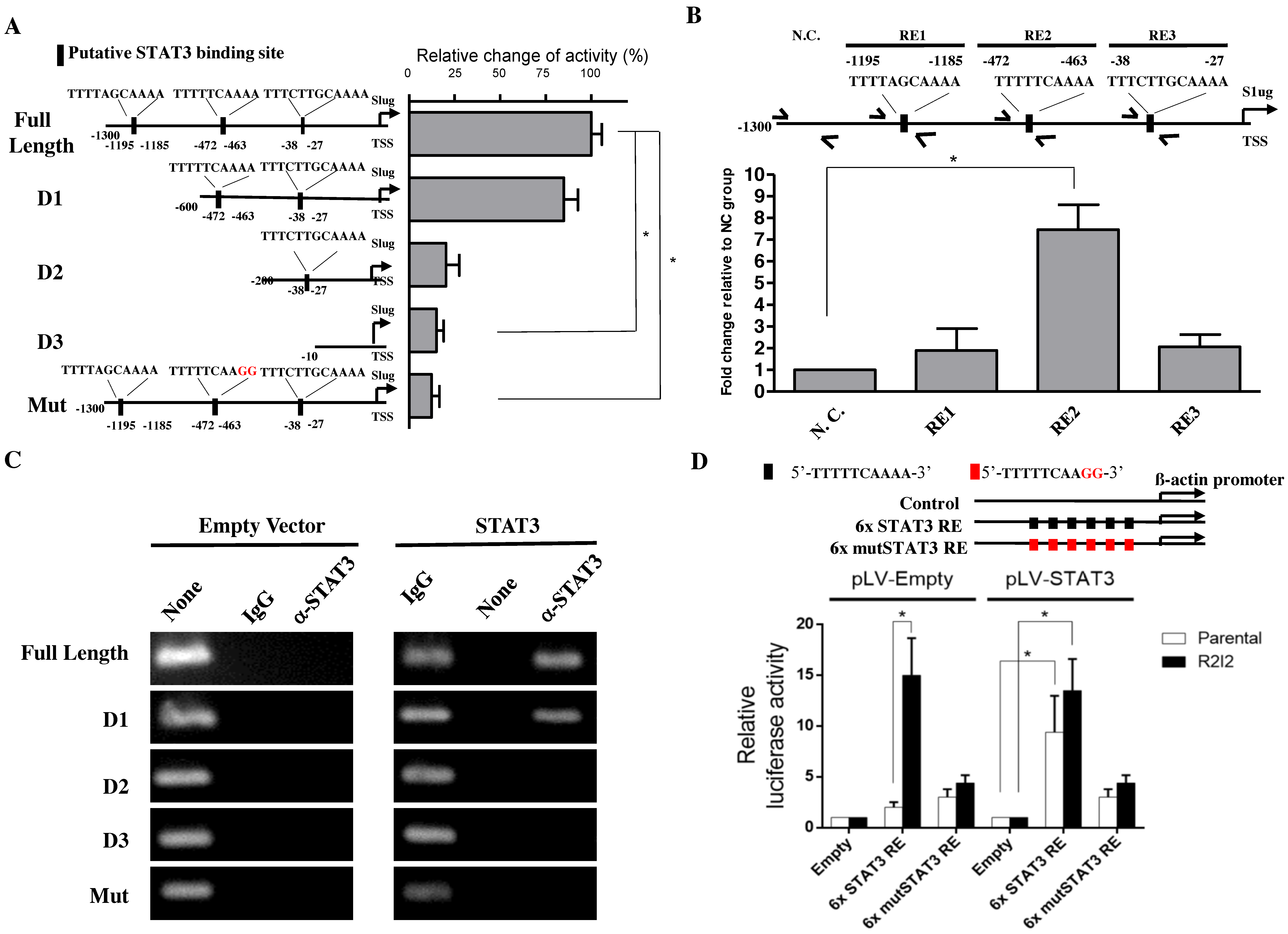 Cancers 10 00512 g003