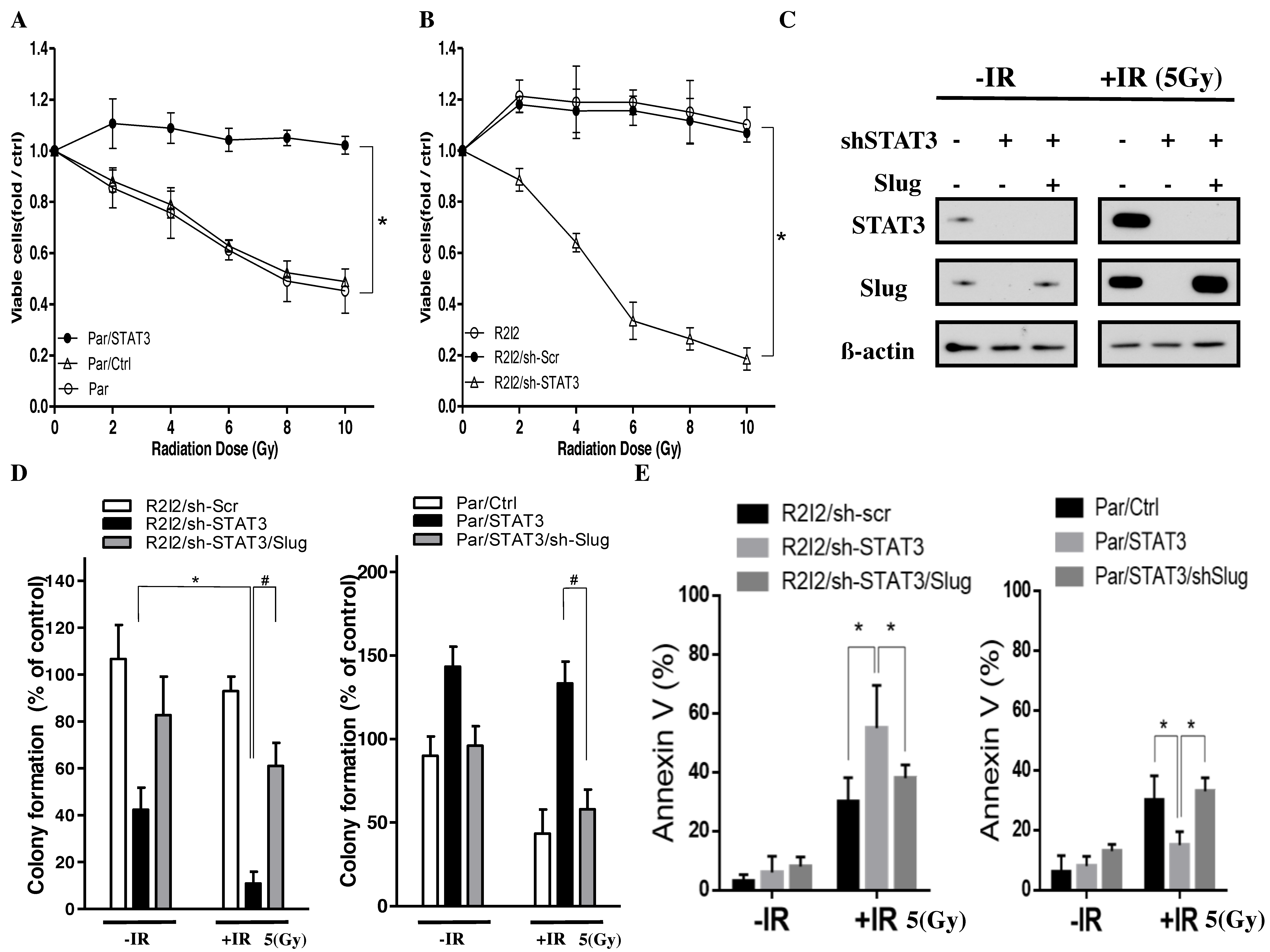 Cancers 10 00512 g005