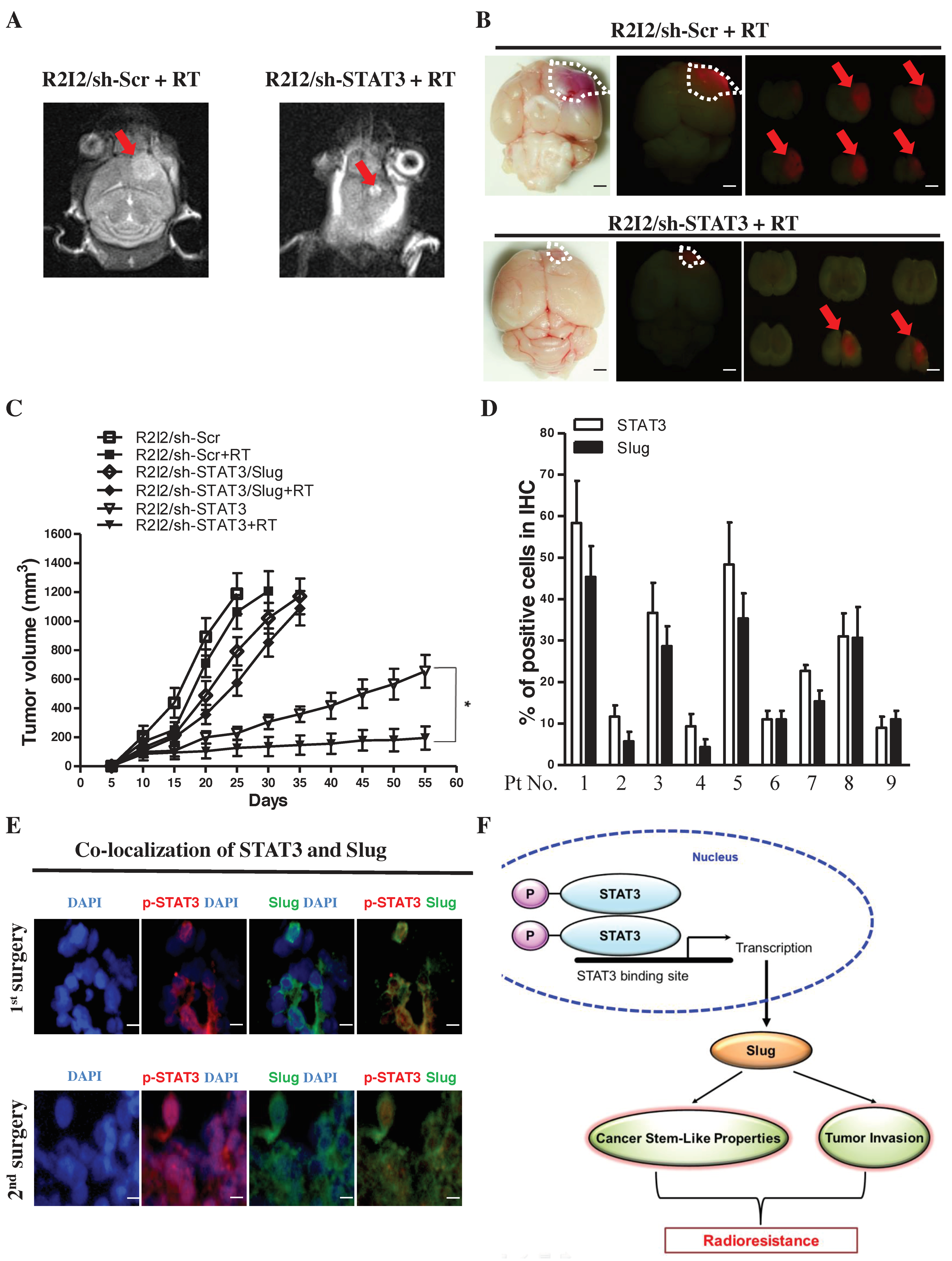 Cancers 10 00512 g006