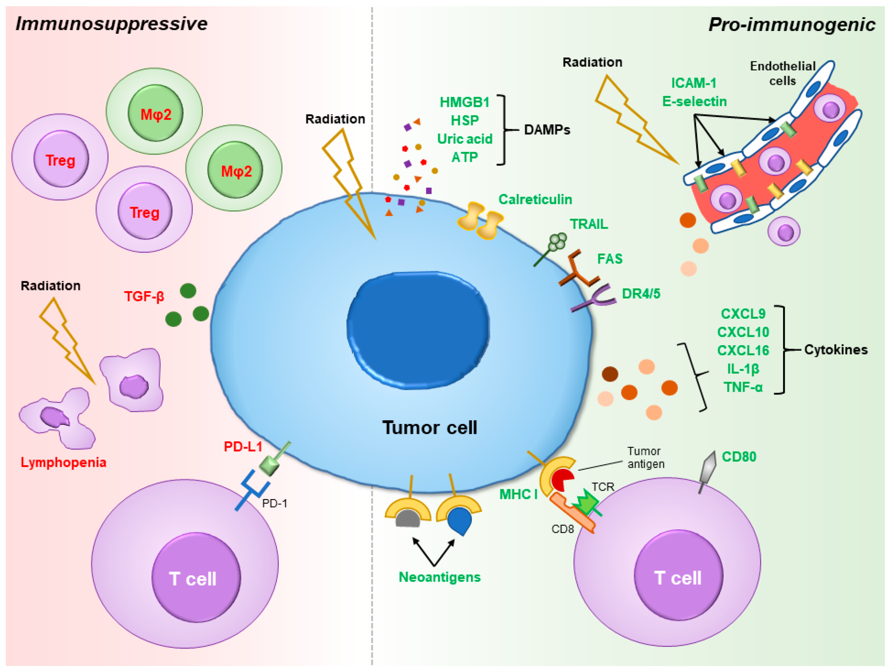 Cancers 10 00515 g001