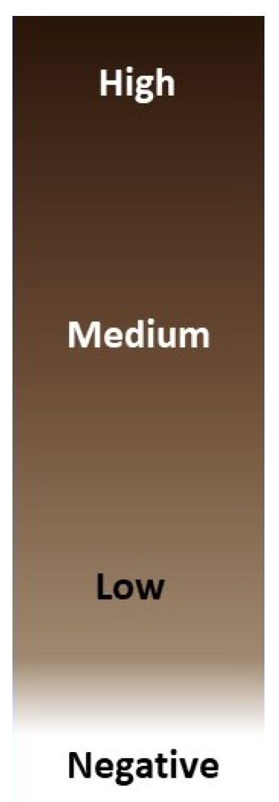 Cancers 10 00517 g001