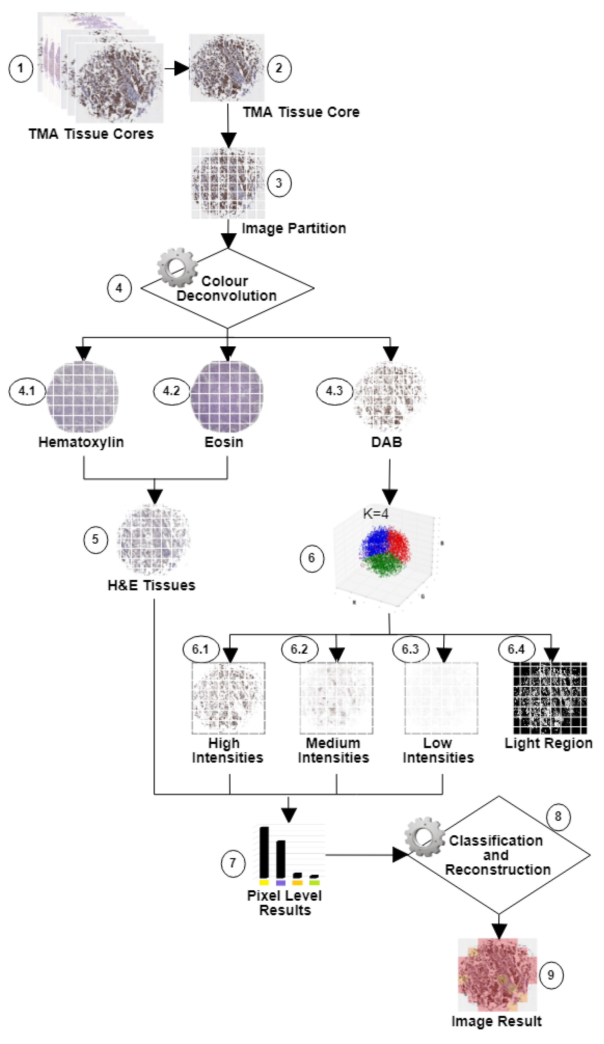 Cancers 10 00517 g009