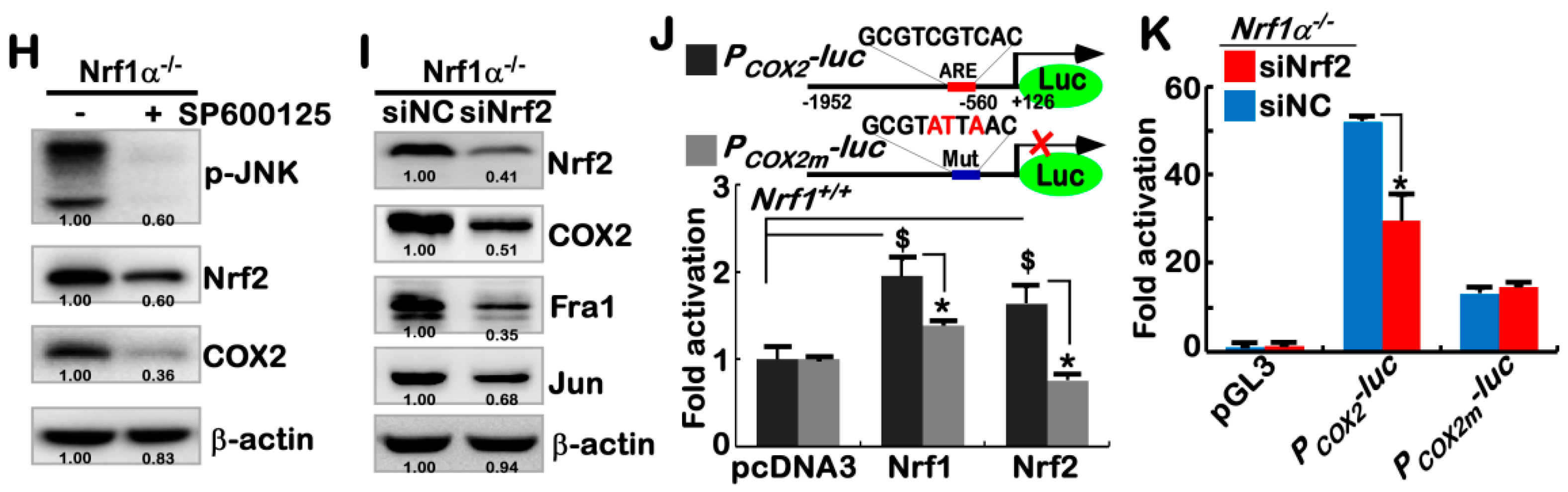 Cancers 10 00520 g002b Cancers 10 00520 g002b