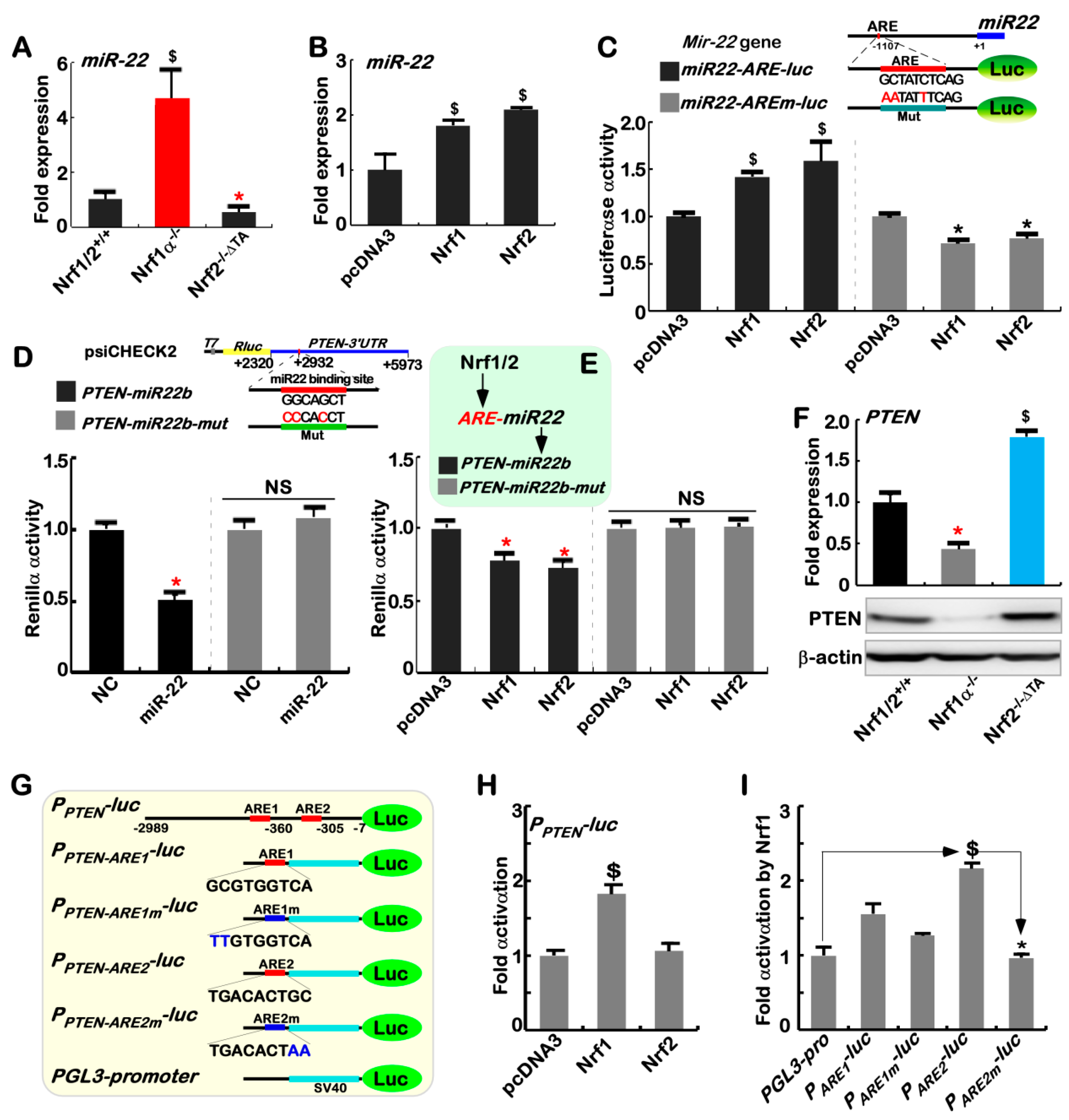 Cancers 10 00520 g003 Cancers 10 00520 g003