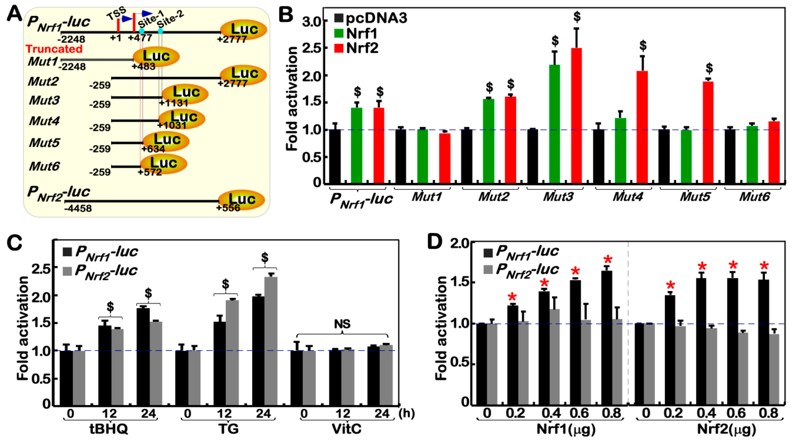 Cancers 10 00520 g005a Cancers 10 00520 g005a