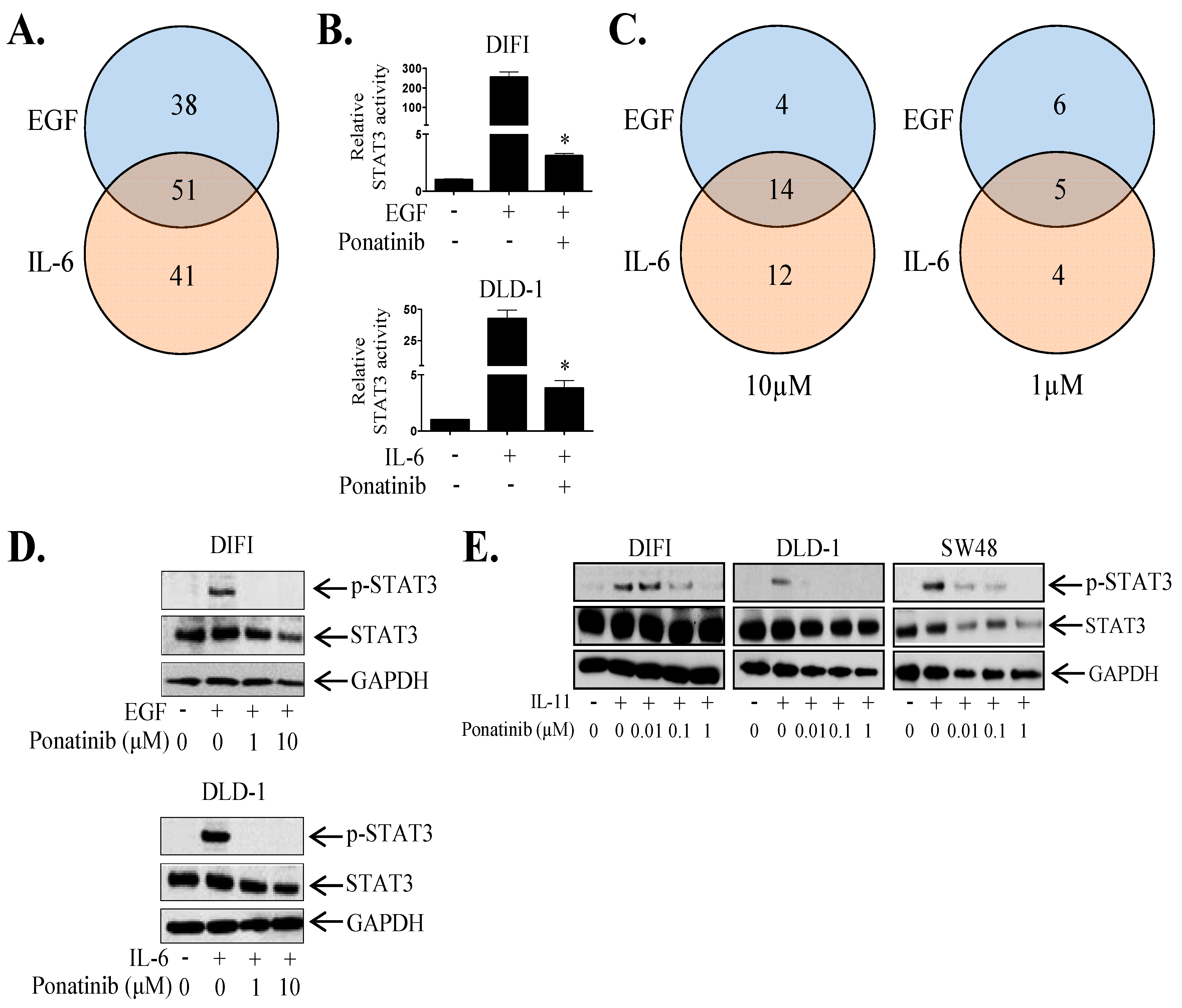 Cancers 10 00526 g002