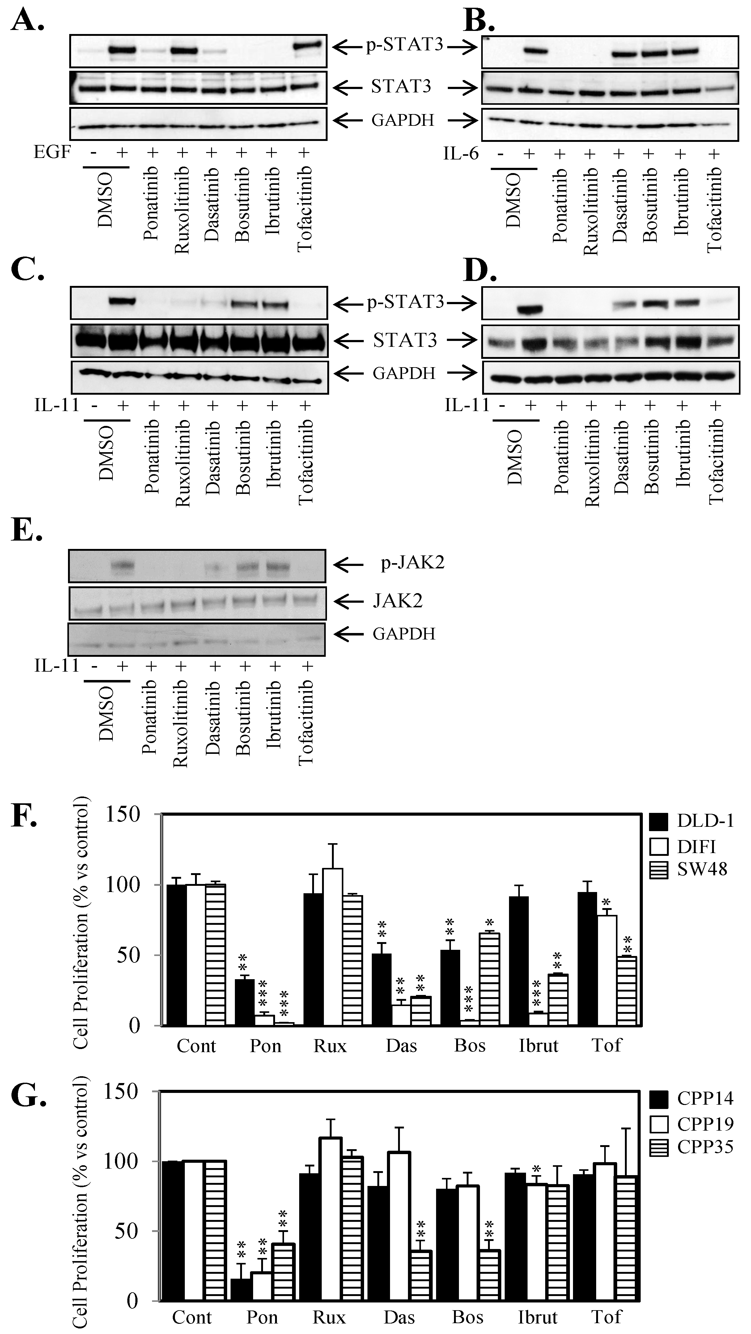 Cancers 10 00526 g004