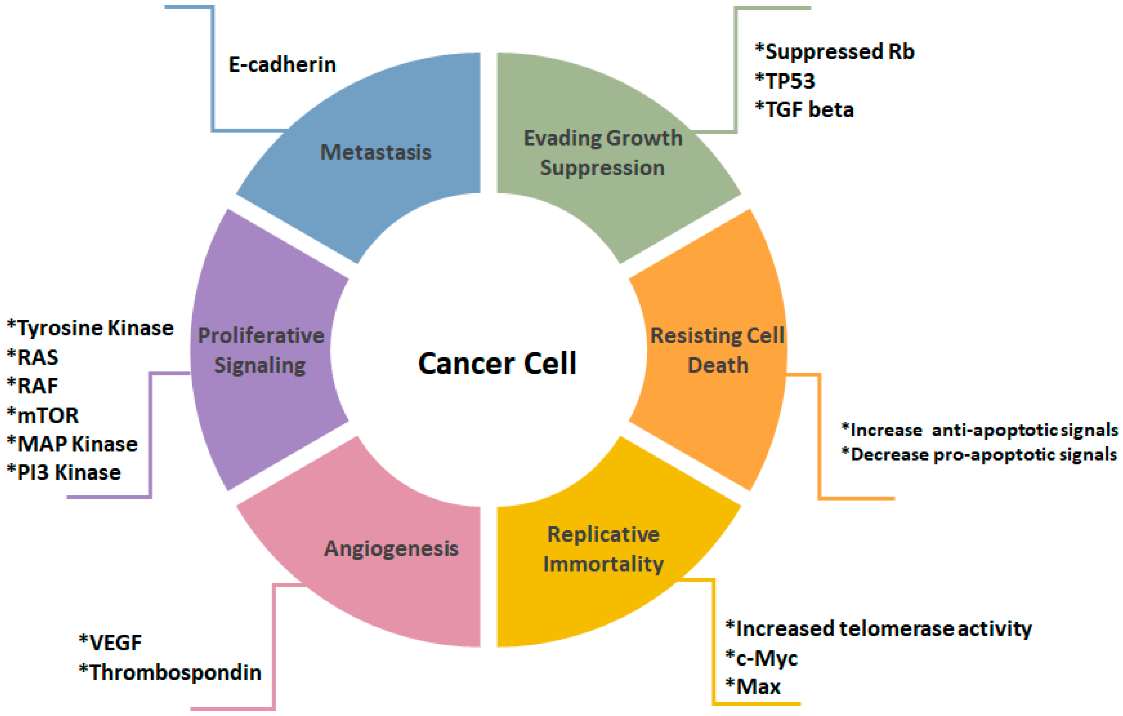 Cancers 11 00028 g001