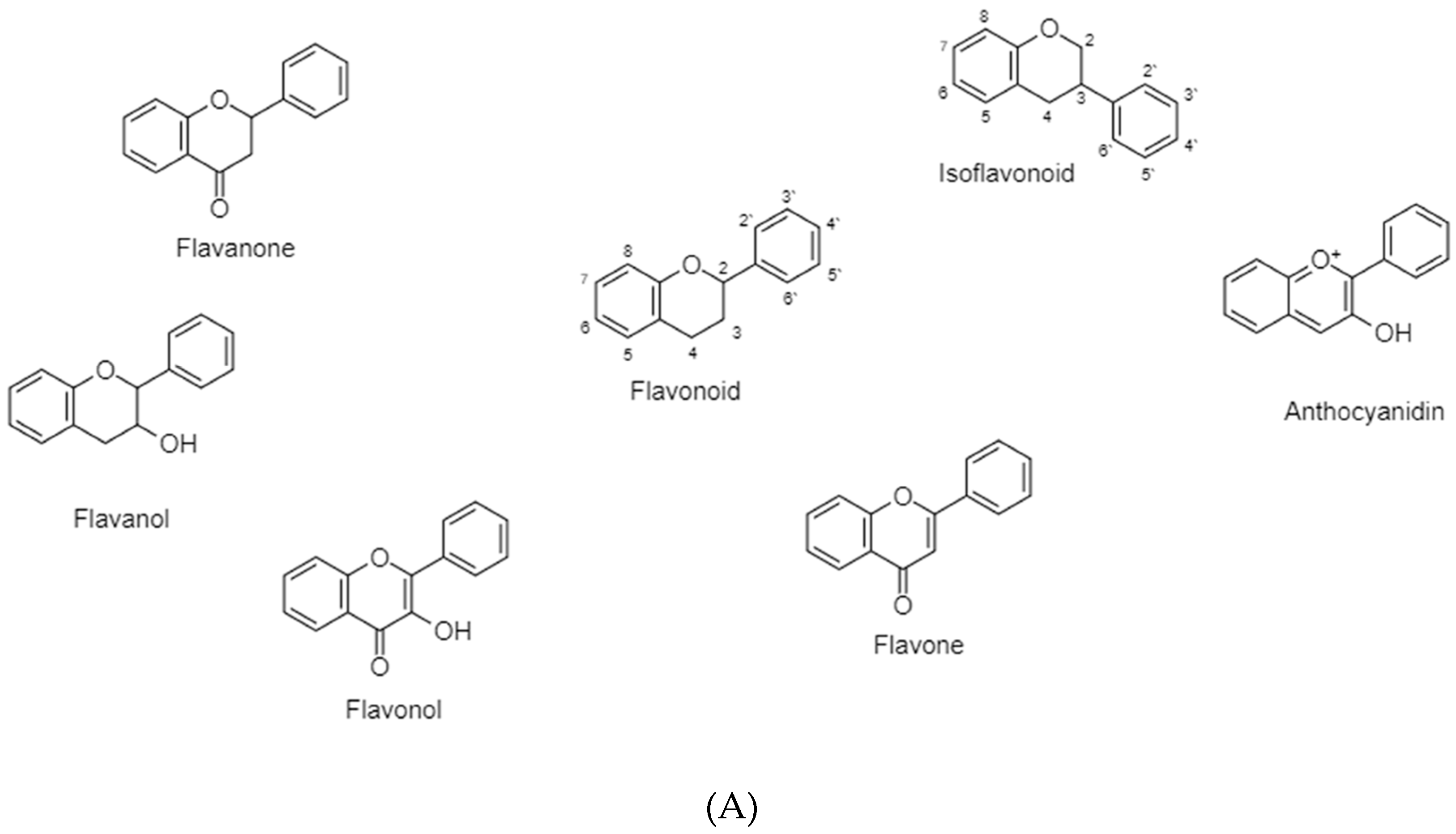 Cancers 11 00028 g005a