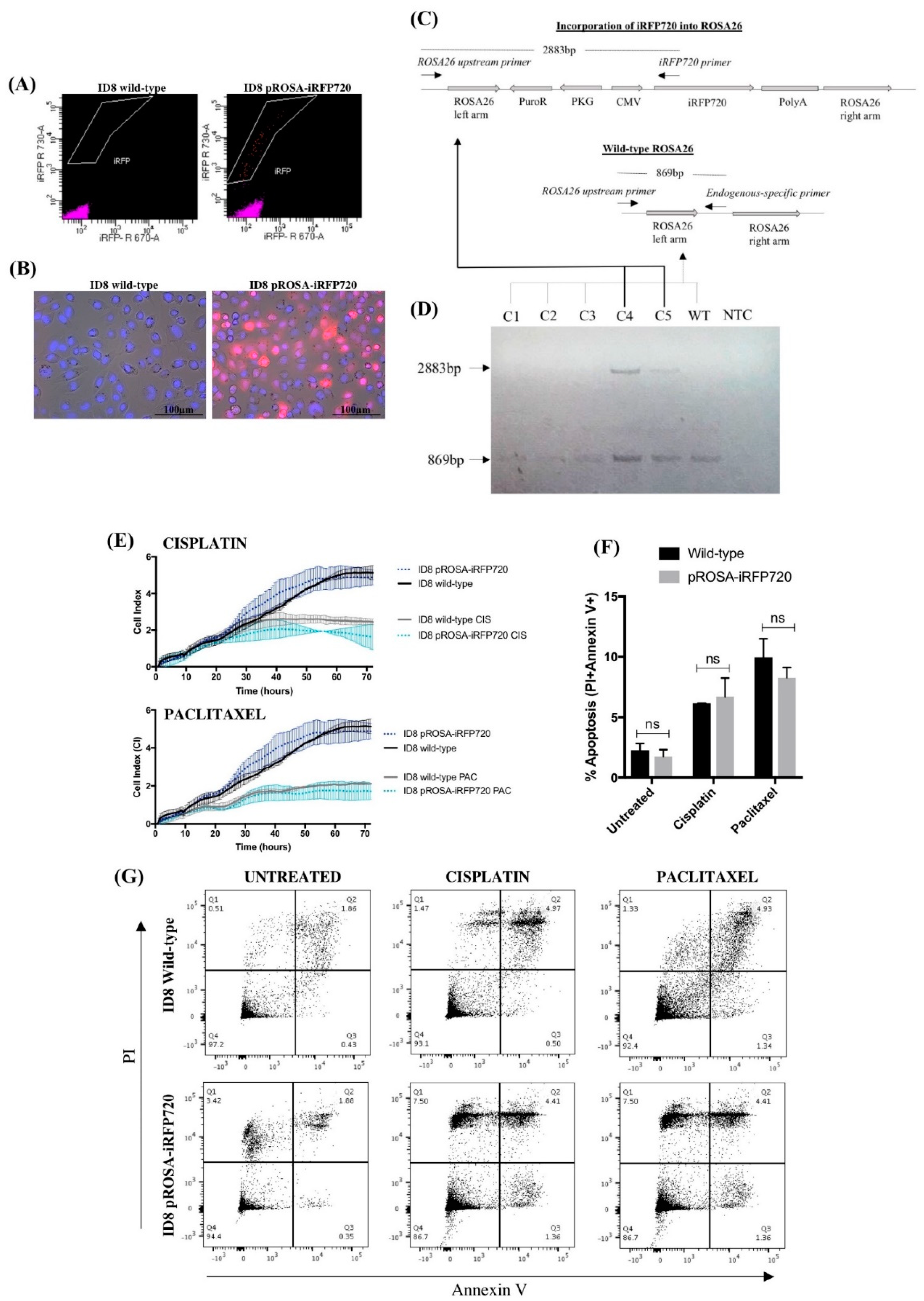 Cancers 11 00032 g002
