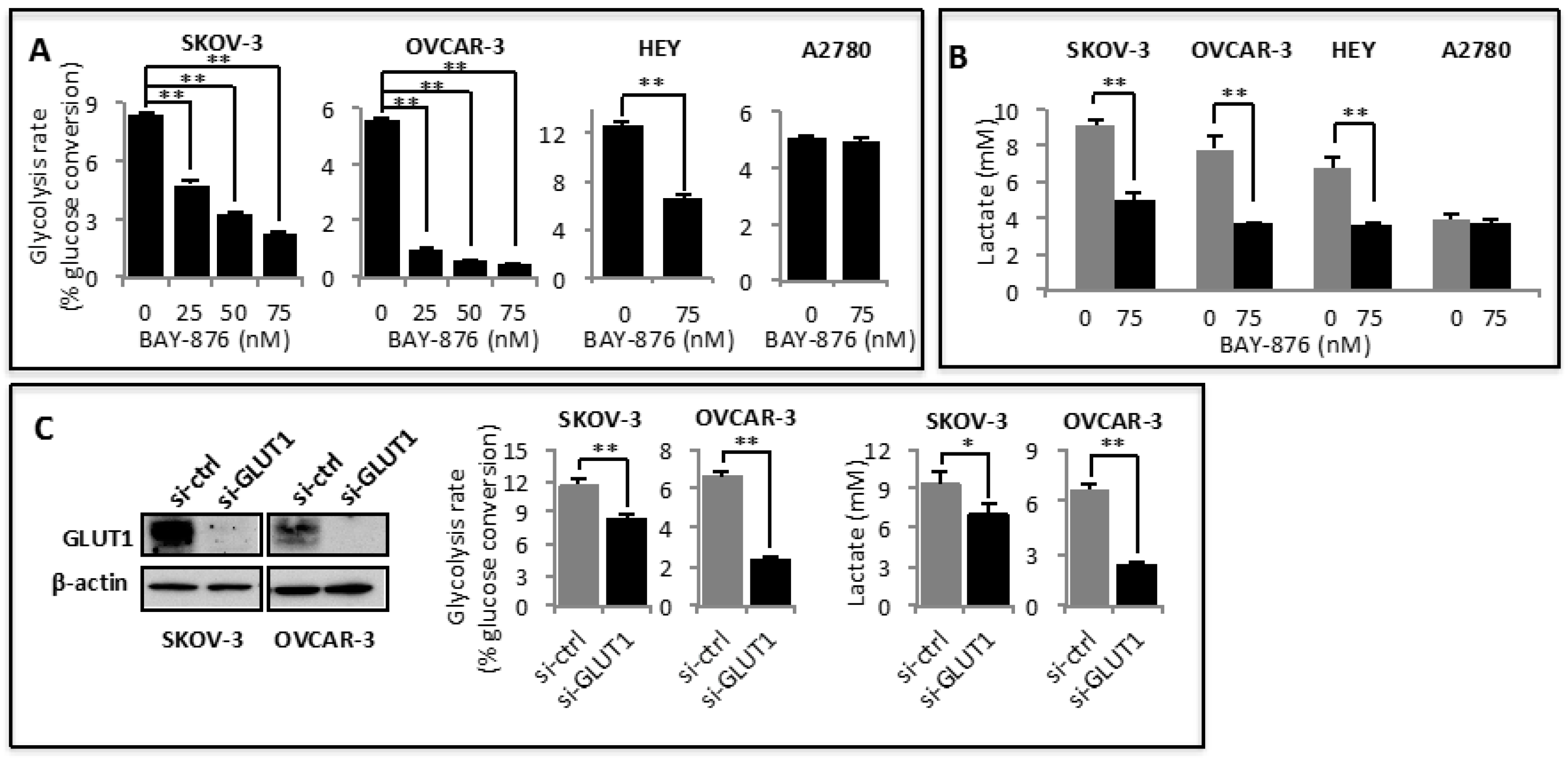 Cancers 11 00033 g001