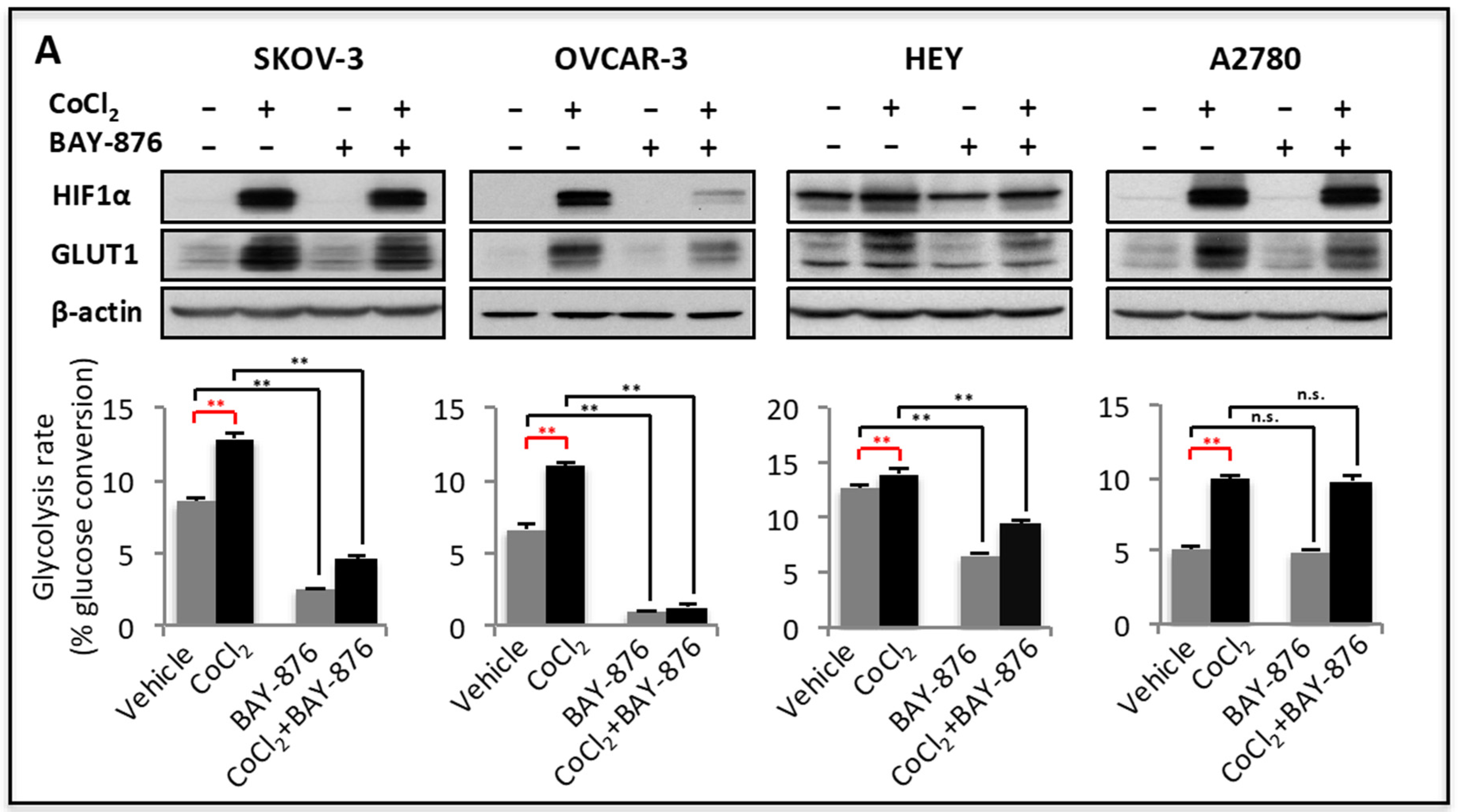 Cancers 11 00033 g002a
