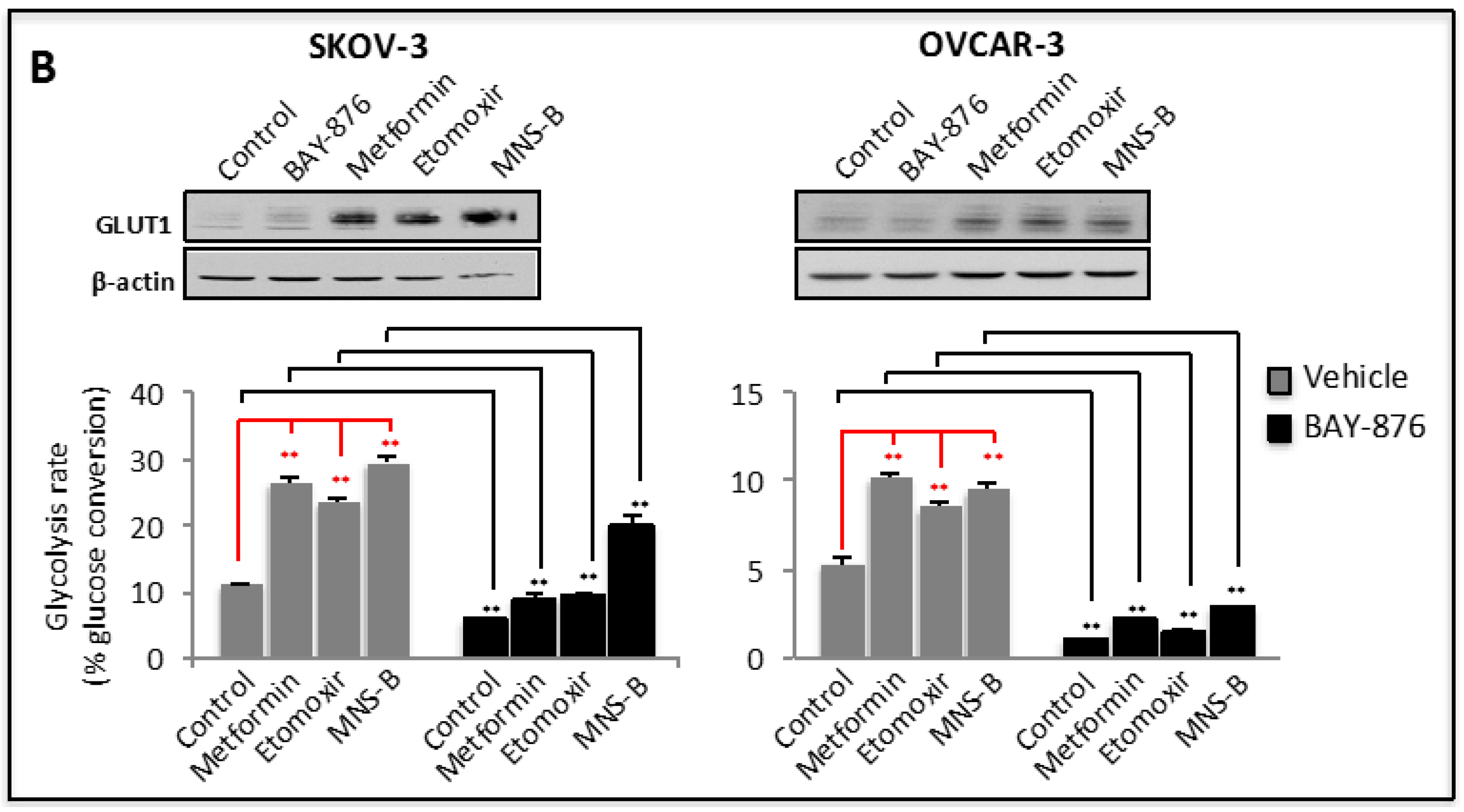 Cancers 11 00033 g002b