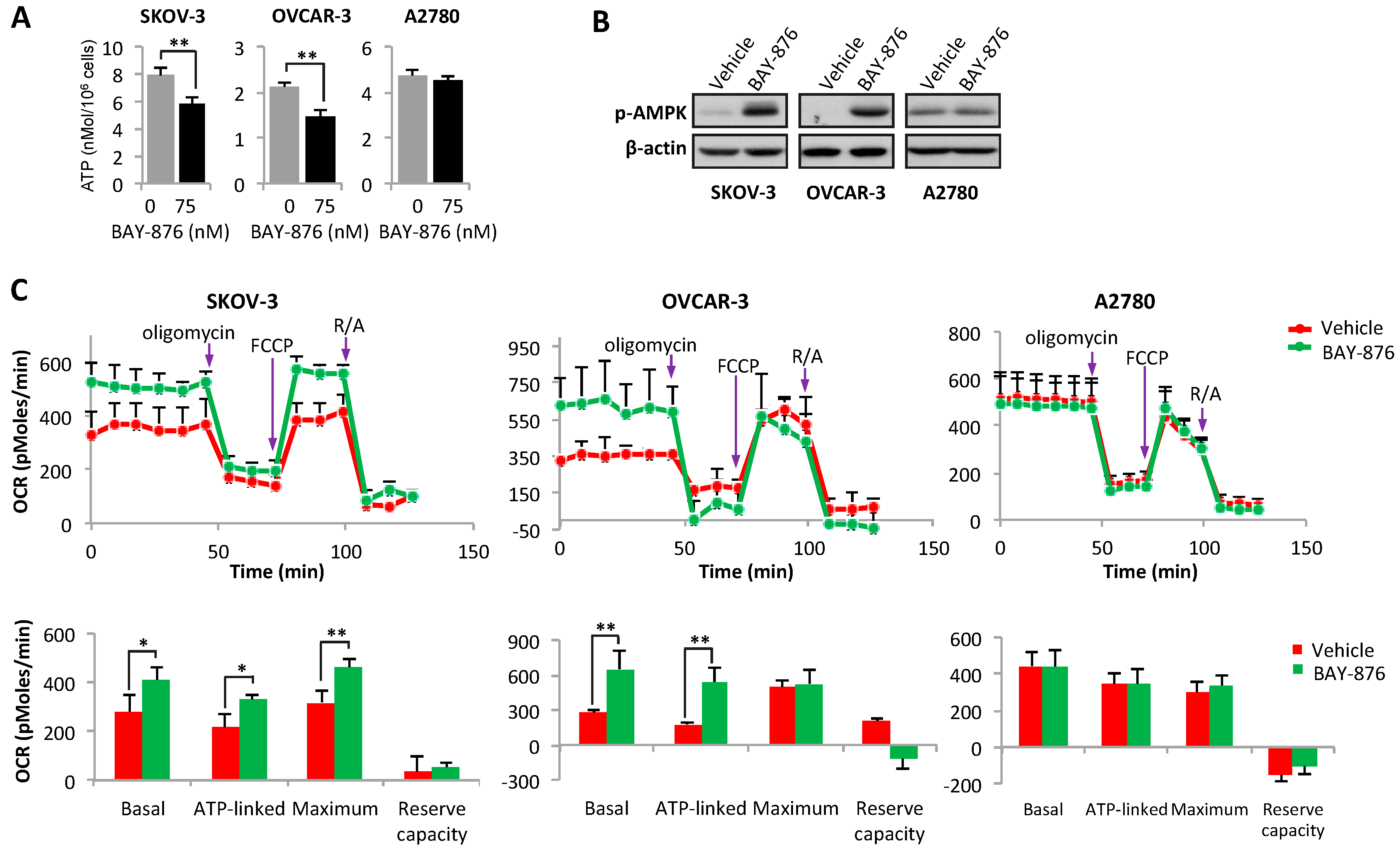 Cancers 11 00033 g003