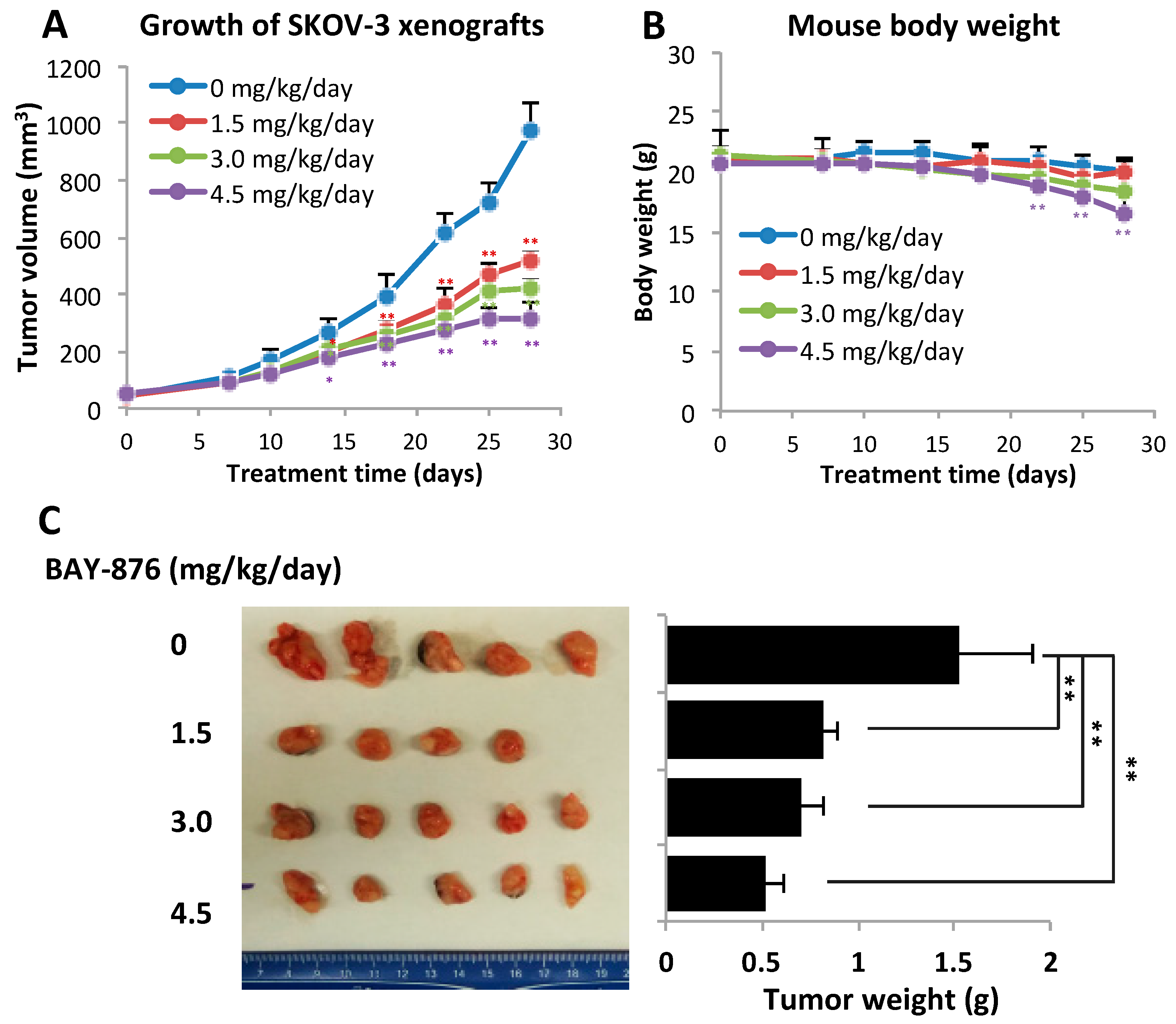 Cancers 11 00033 g005