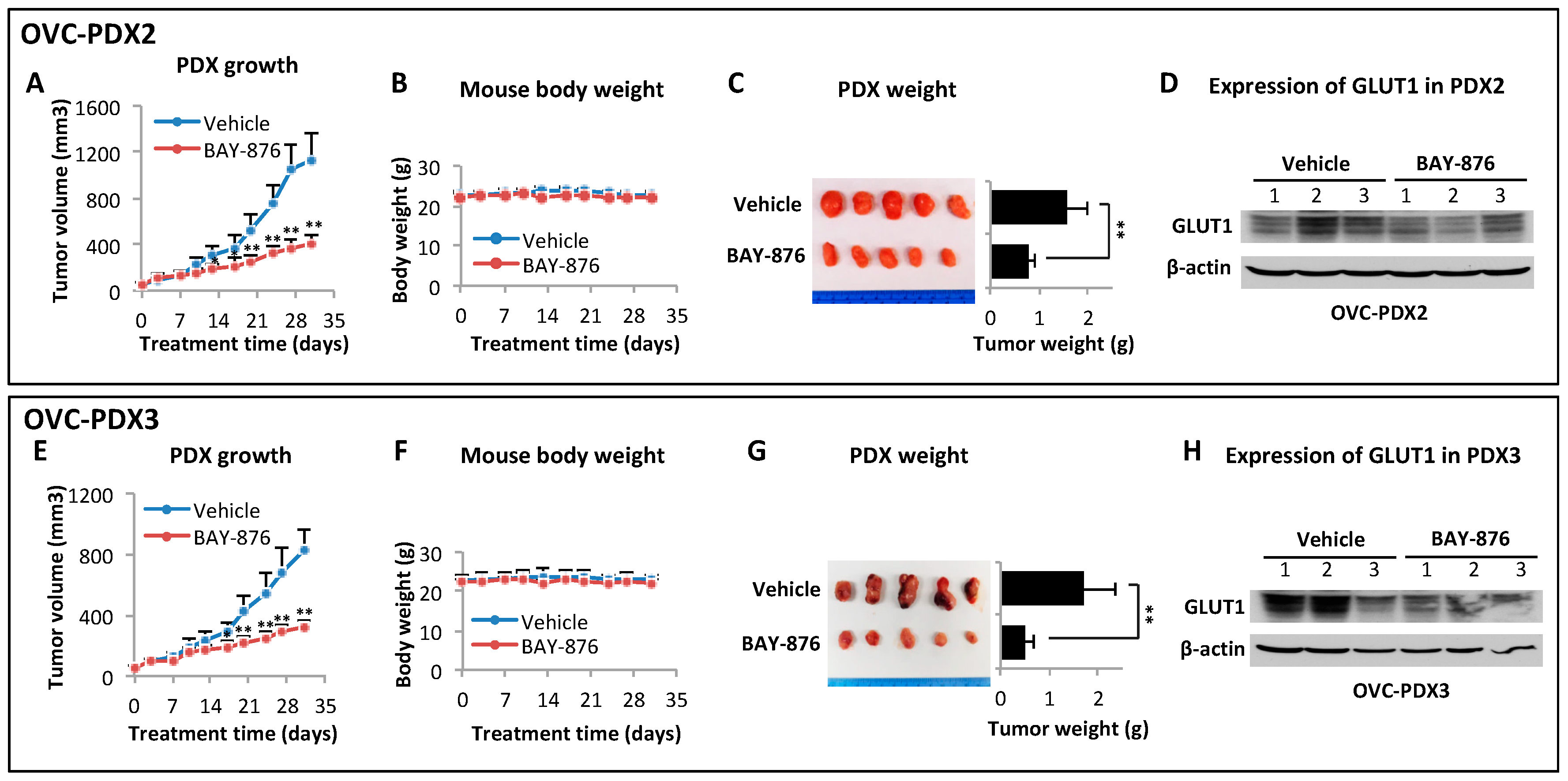 Cancers 11 00033 g006