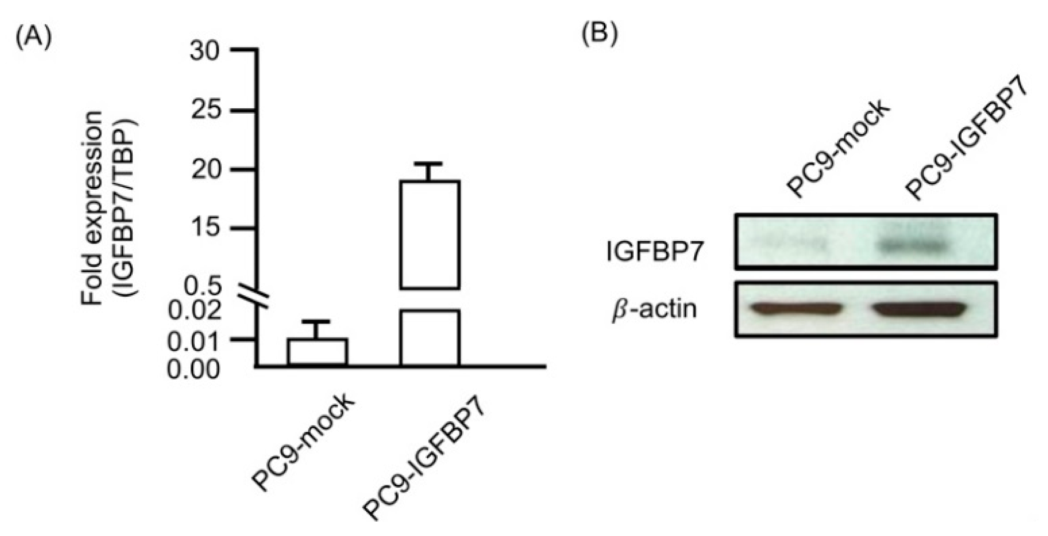 Cancers 11 00036 g004a