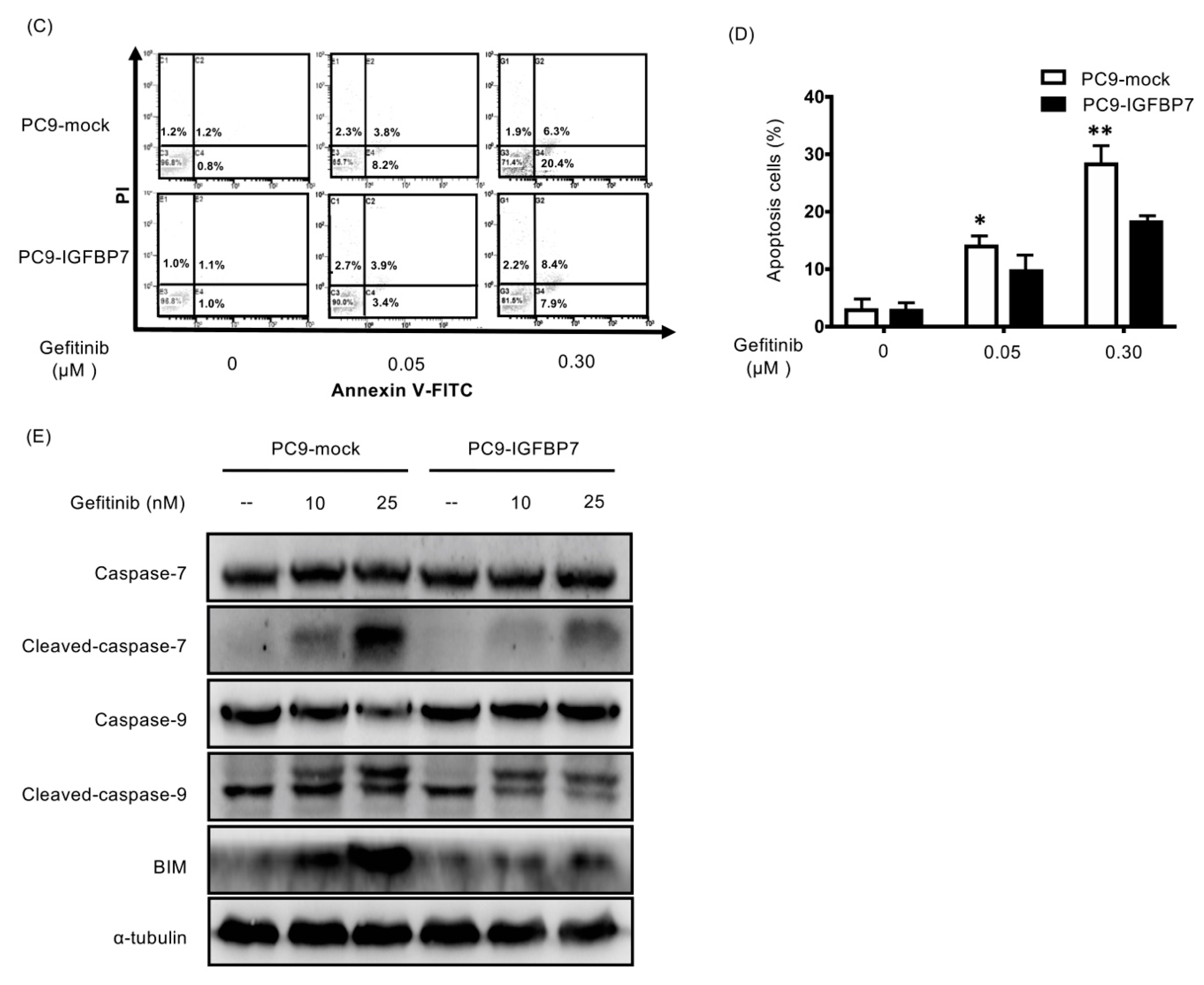 Cancers 11 00036 g004b