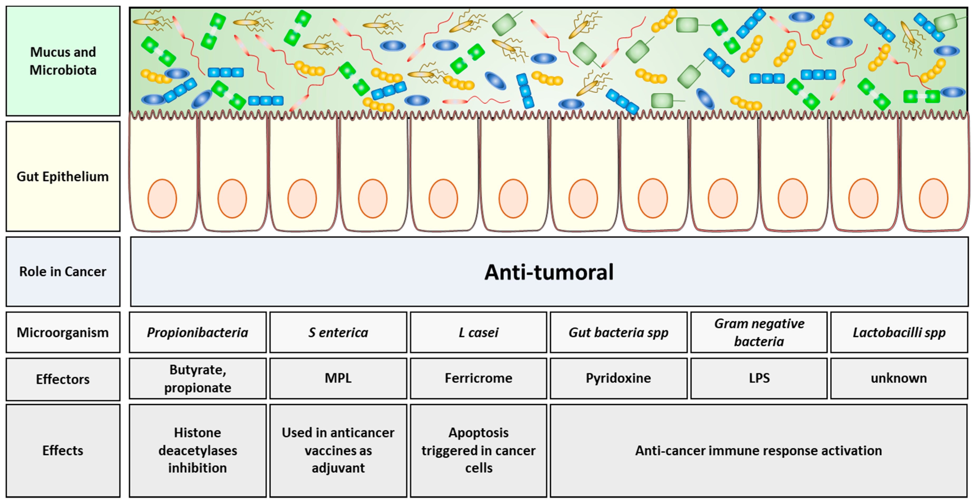 Cancers 11 00038 g001