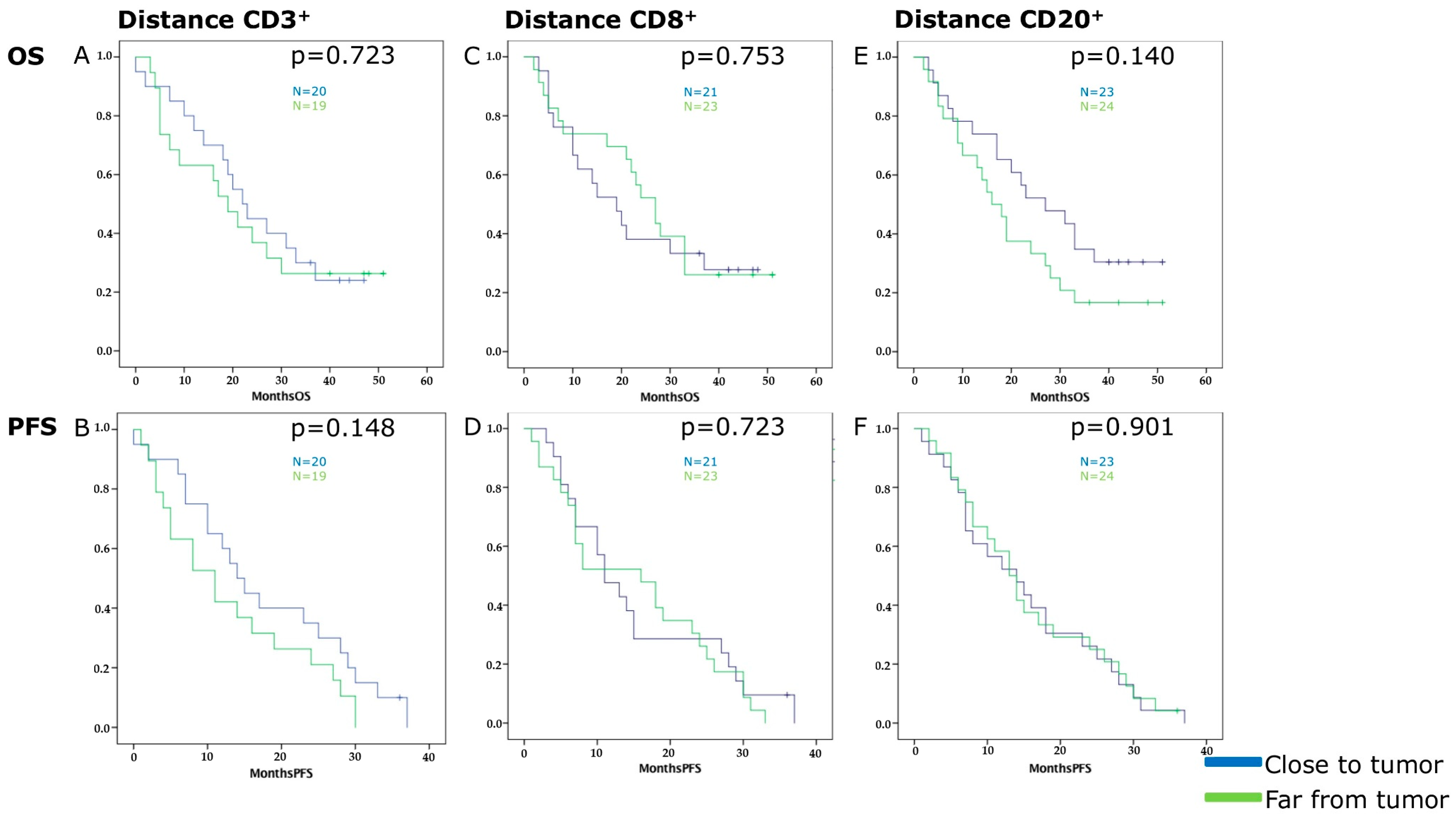Cancers 11 00039 g004 Cancers 11 00039 g004