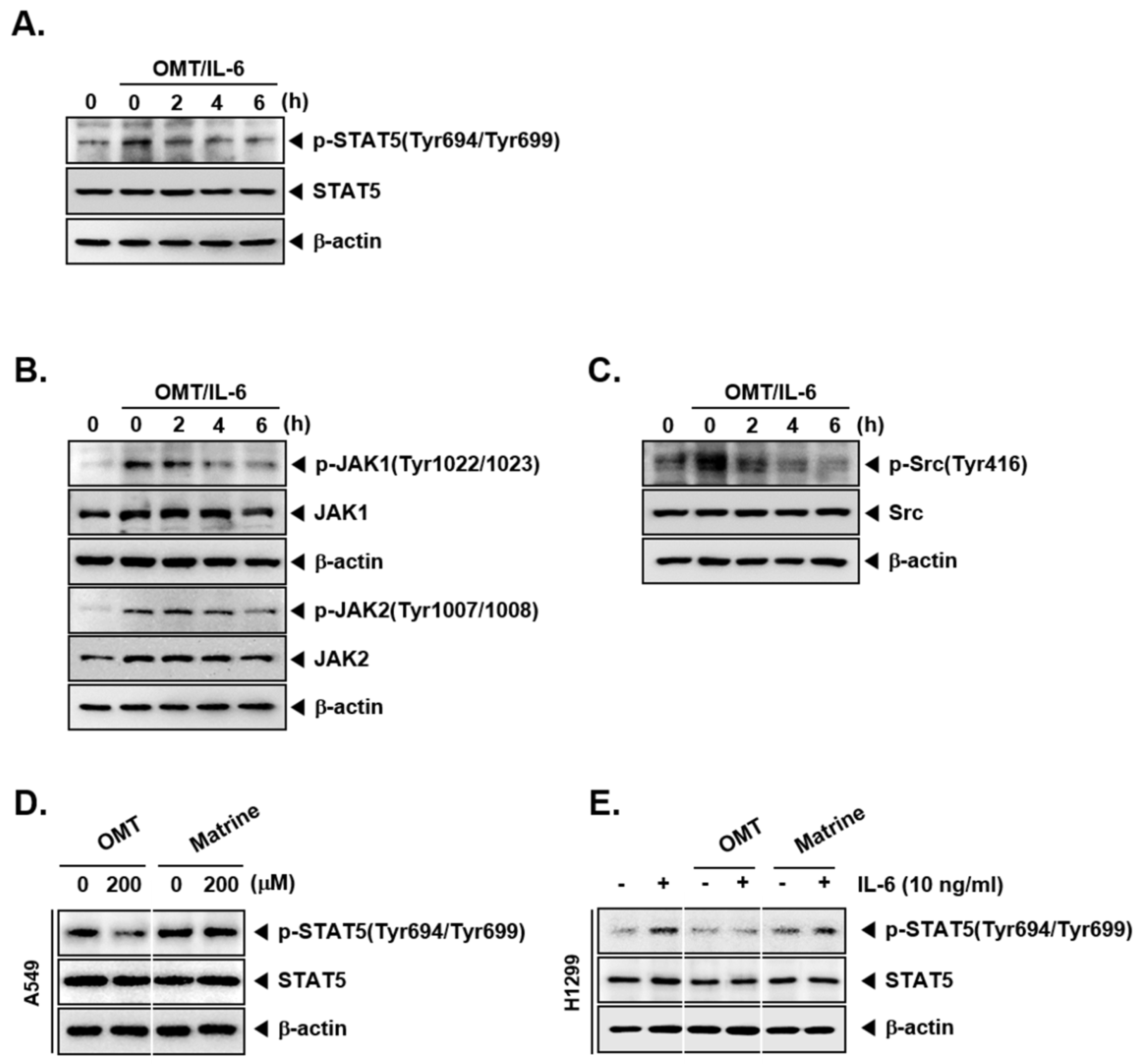 Cancers 11 00049 g002