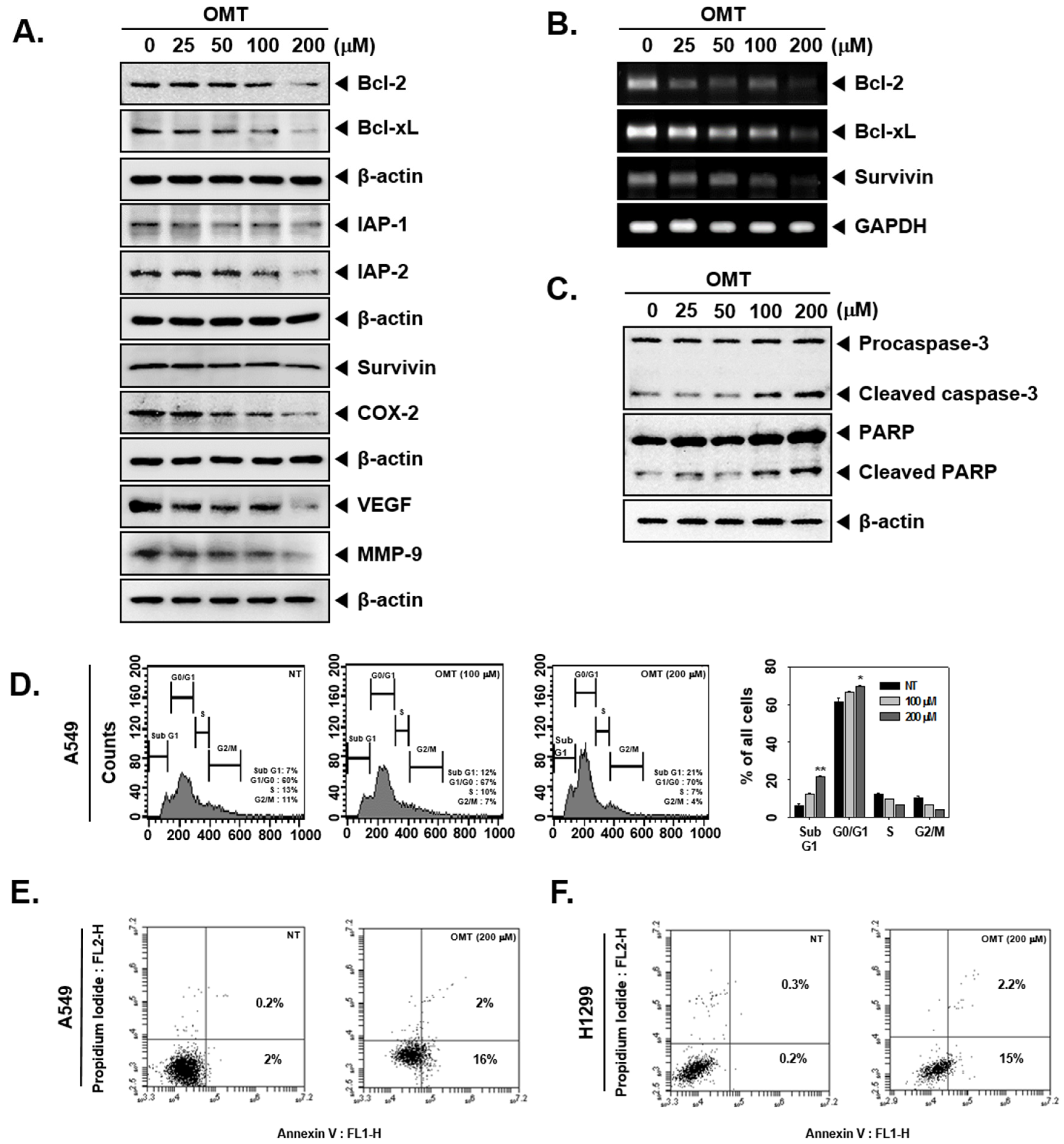 Cancers 11 00049 g003a
