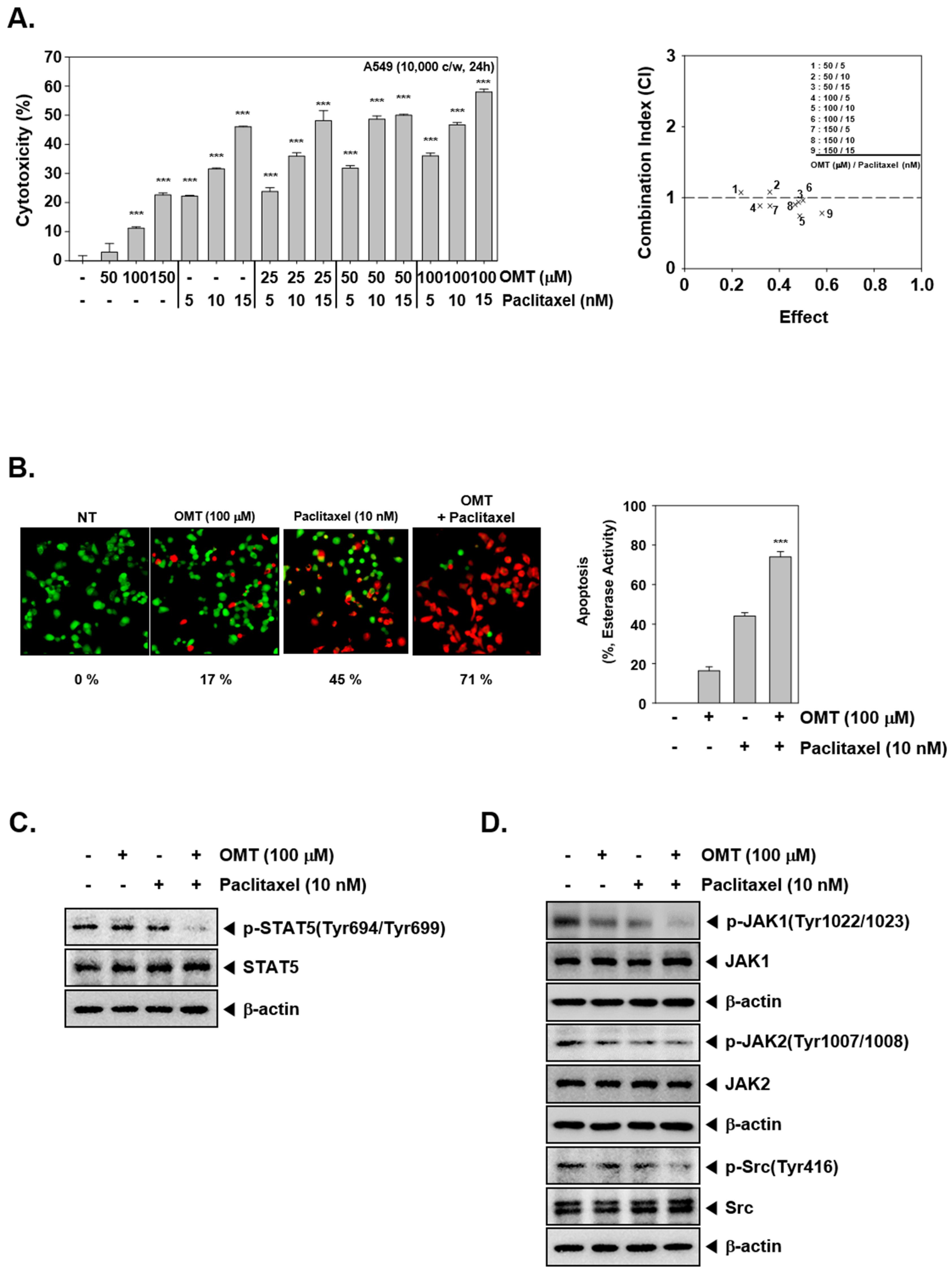 Cancers 11 00049 g004