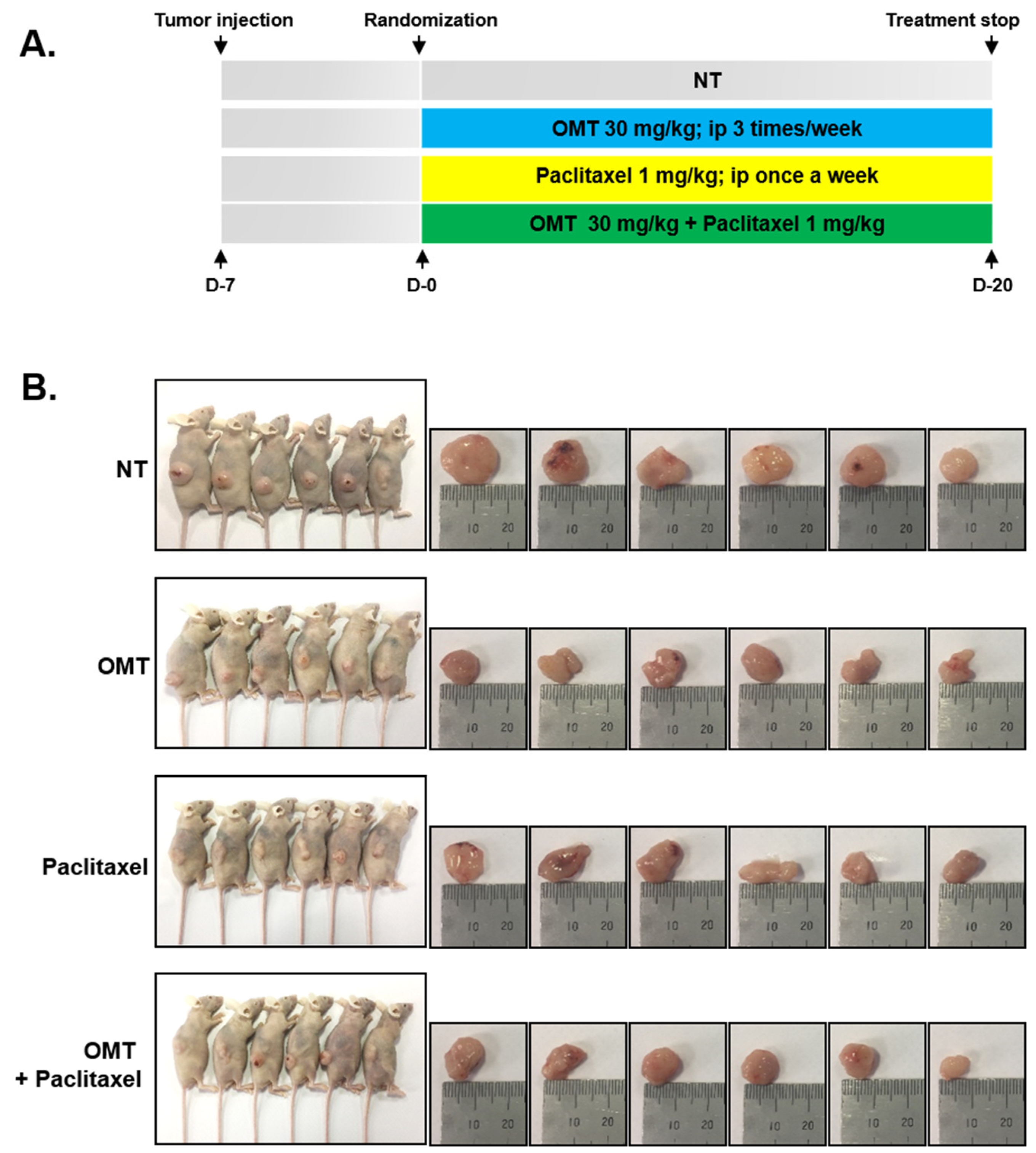 Cancers 11 00049 g006a
