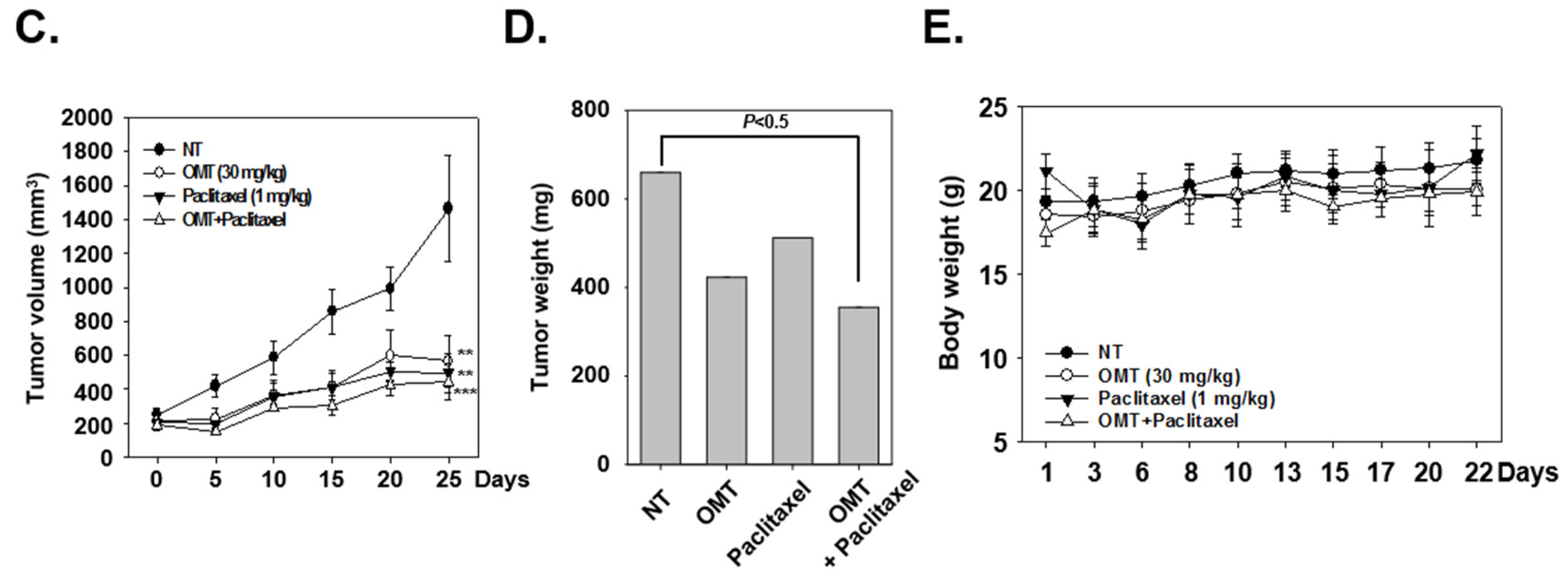 Cancers 11 00049 g006b