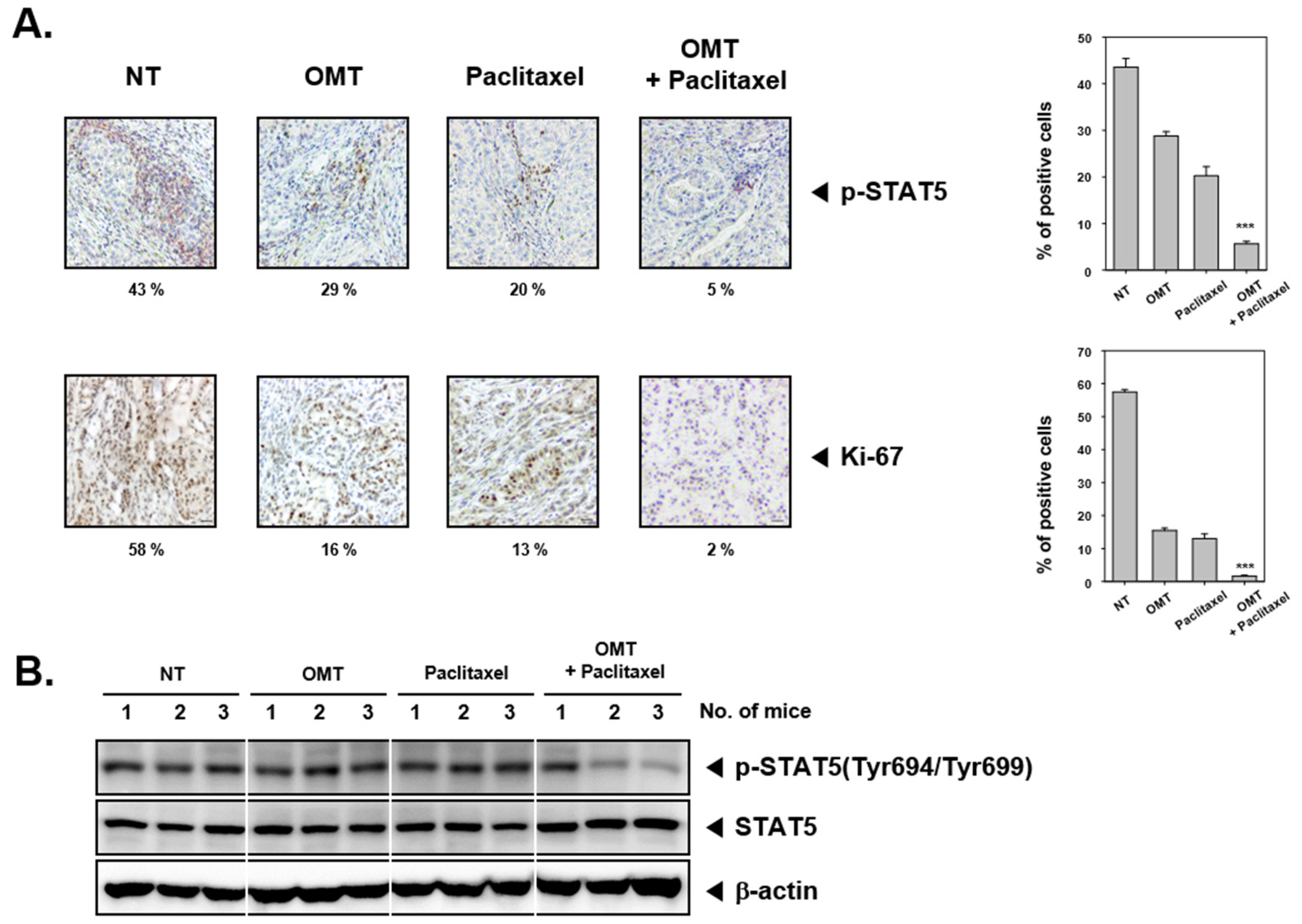 Cancers 11 00049 g007a