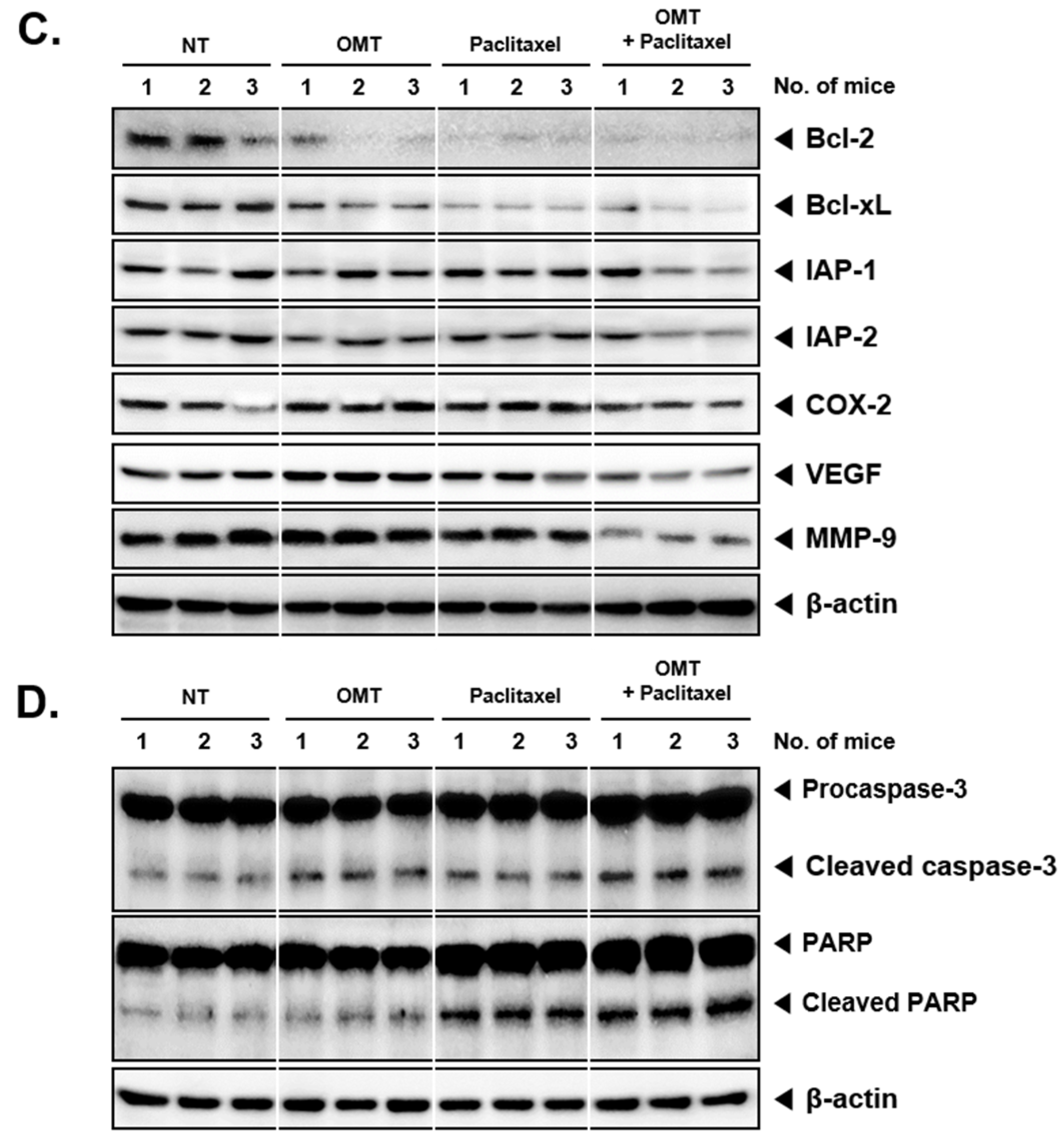 Cancers 11 00049 g007b