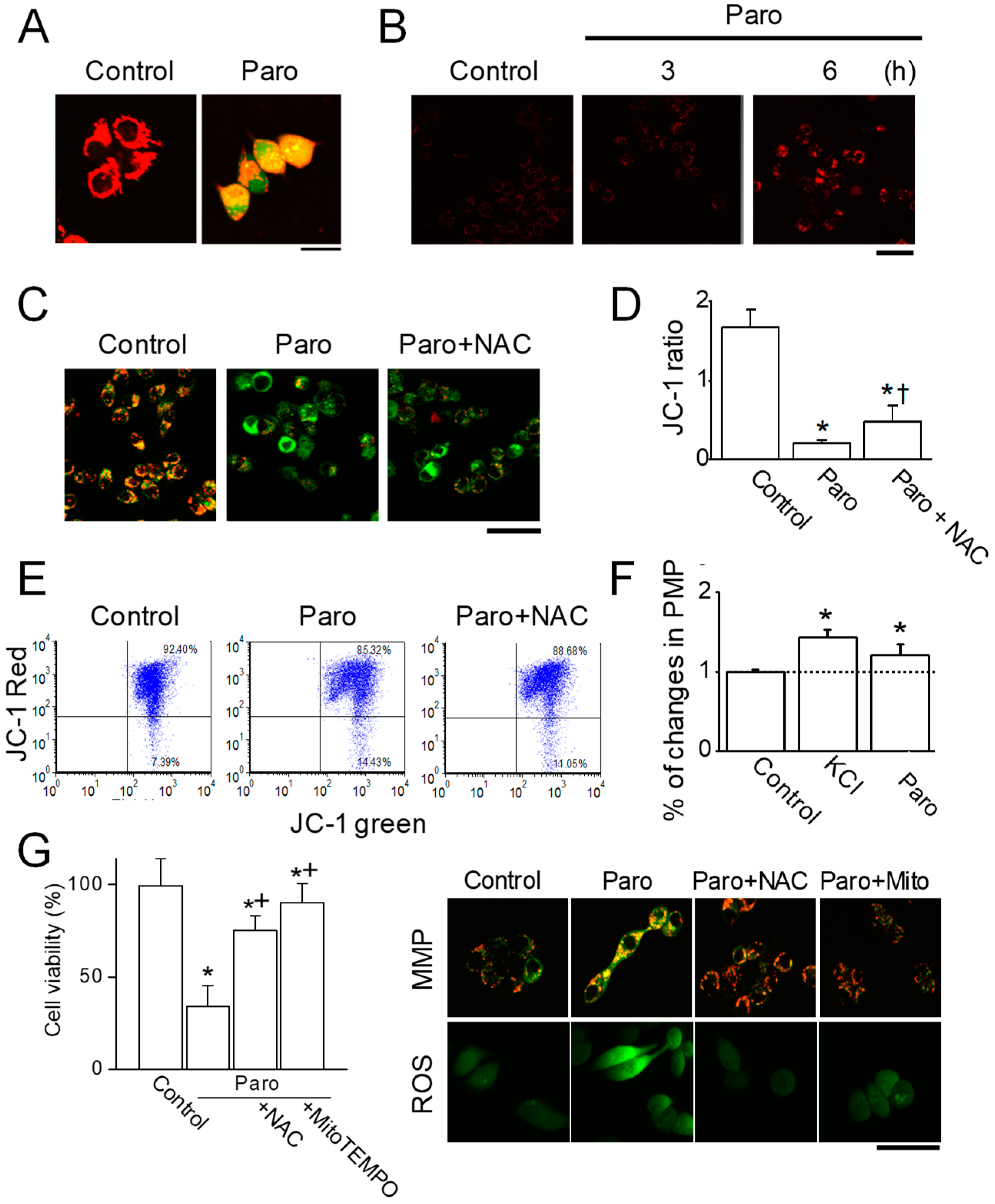 Cancers 11 00064 g005