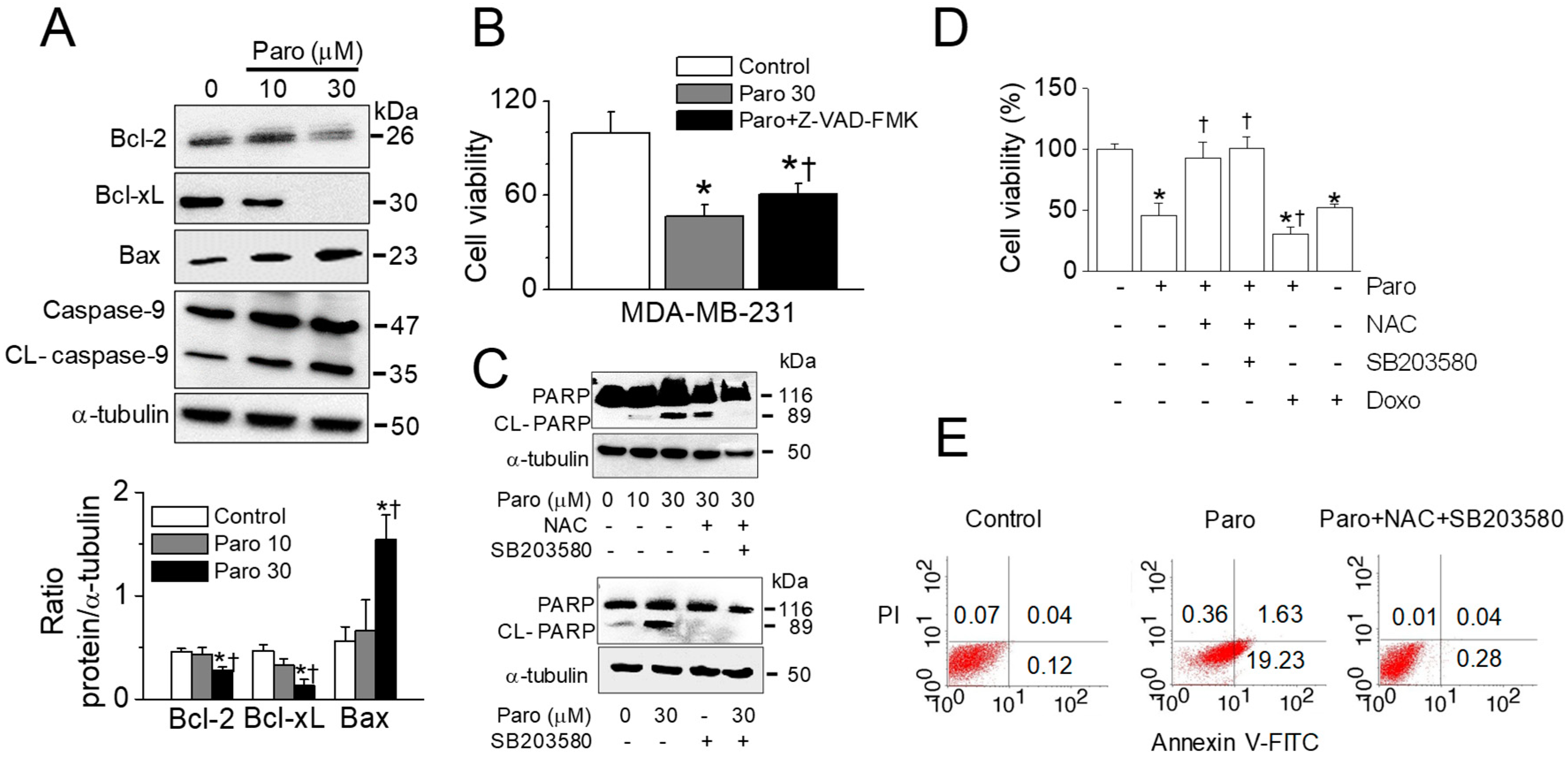 Cancers 11 00064 g008