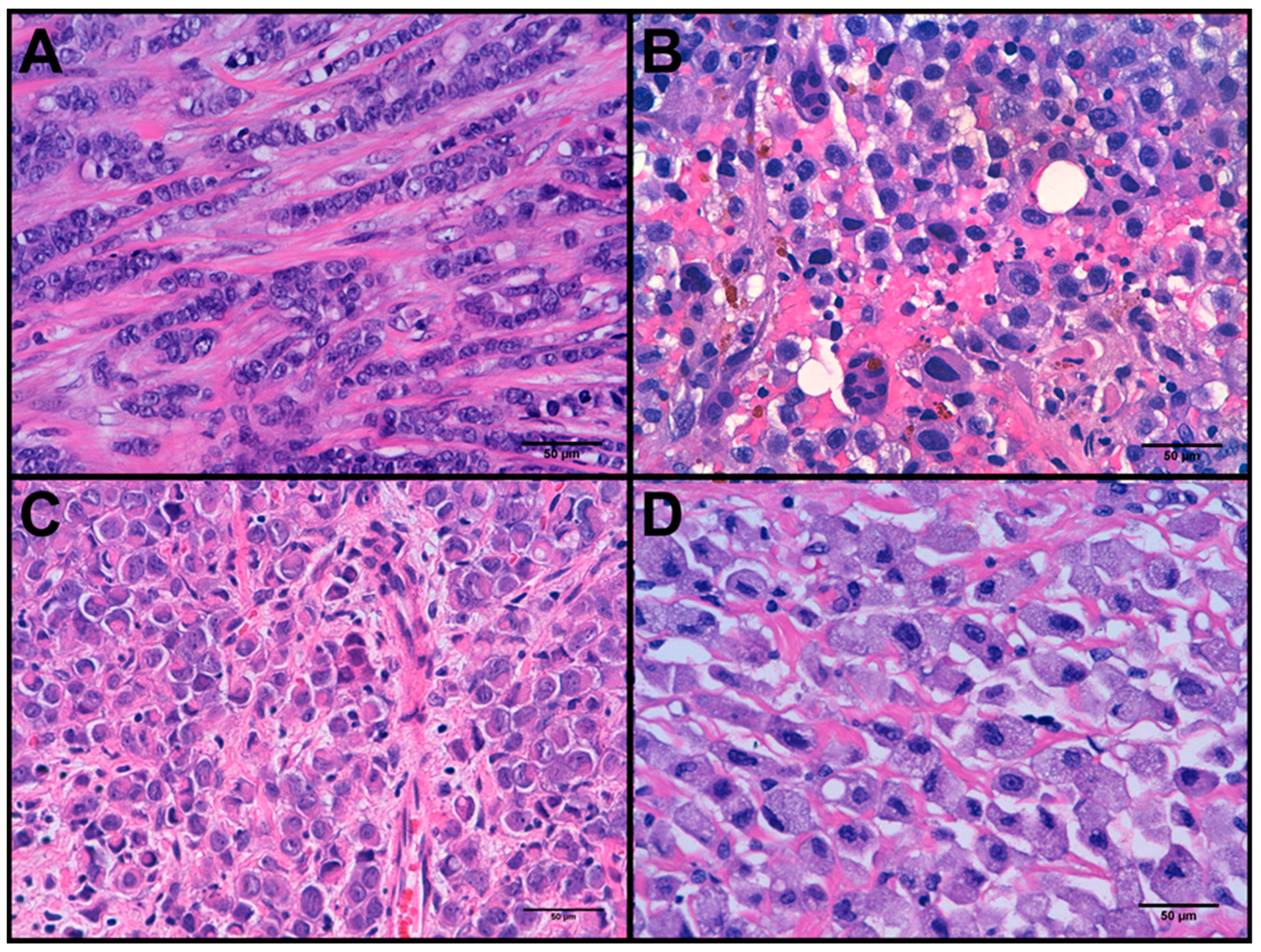Cancers 11 00074 g001