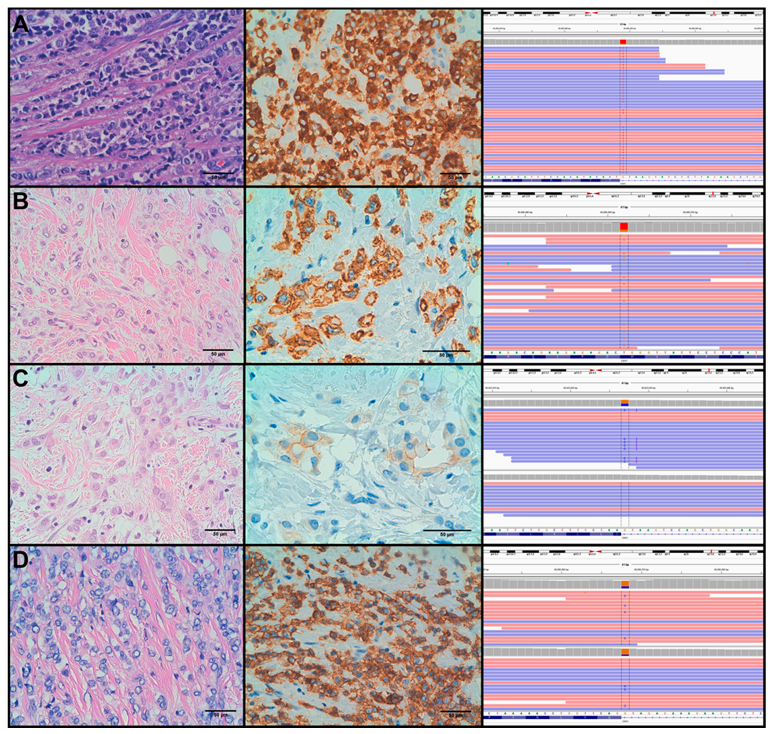 Cancers 11 00074 g002