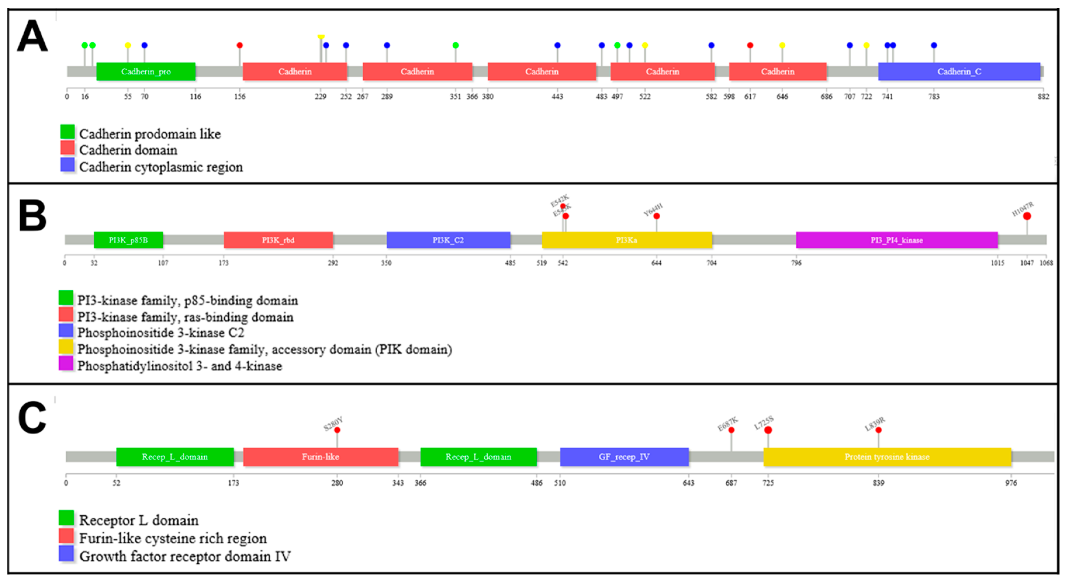 Cancers 11 00074 g003