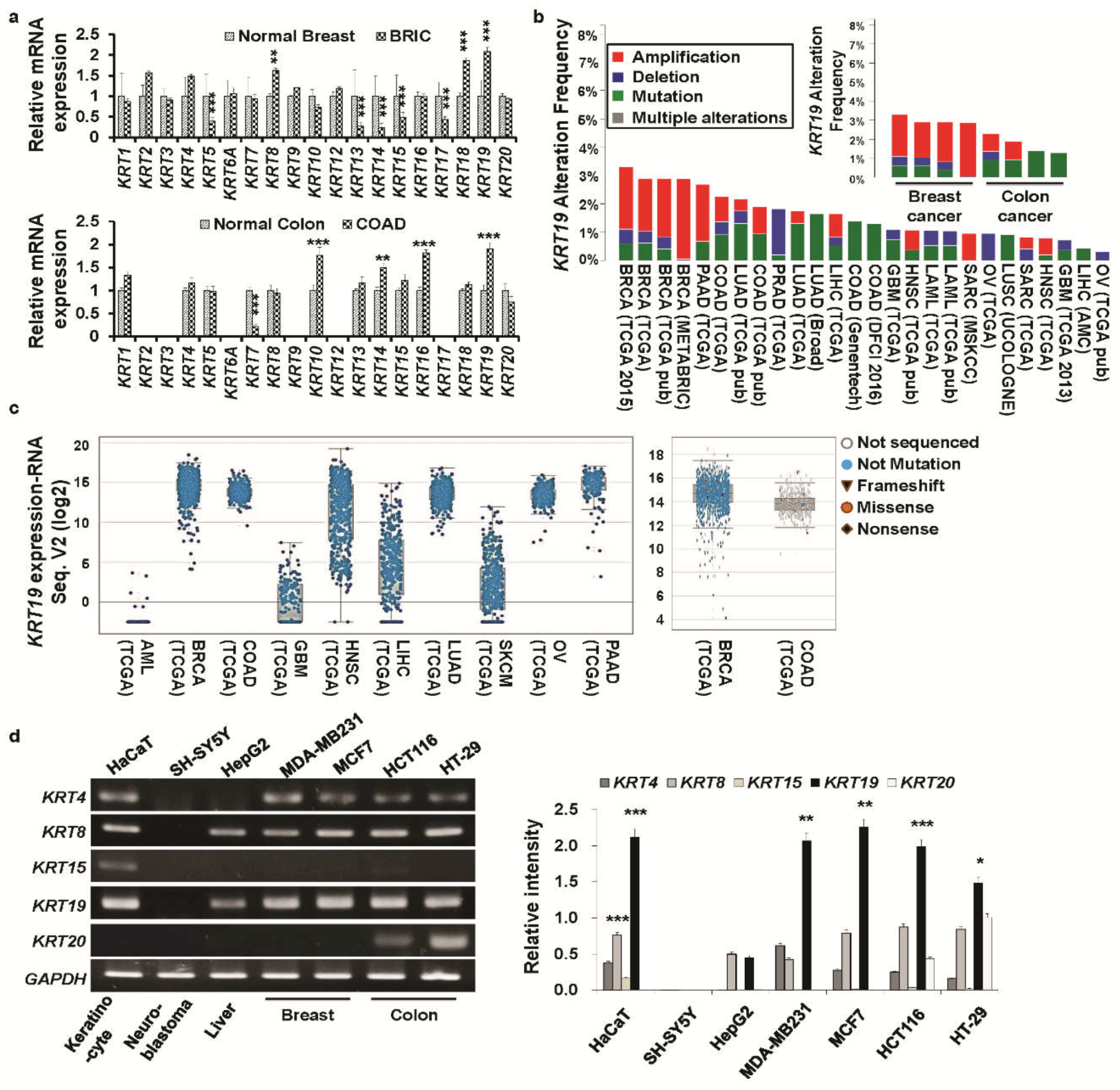 Cancers 11 00099 g001