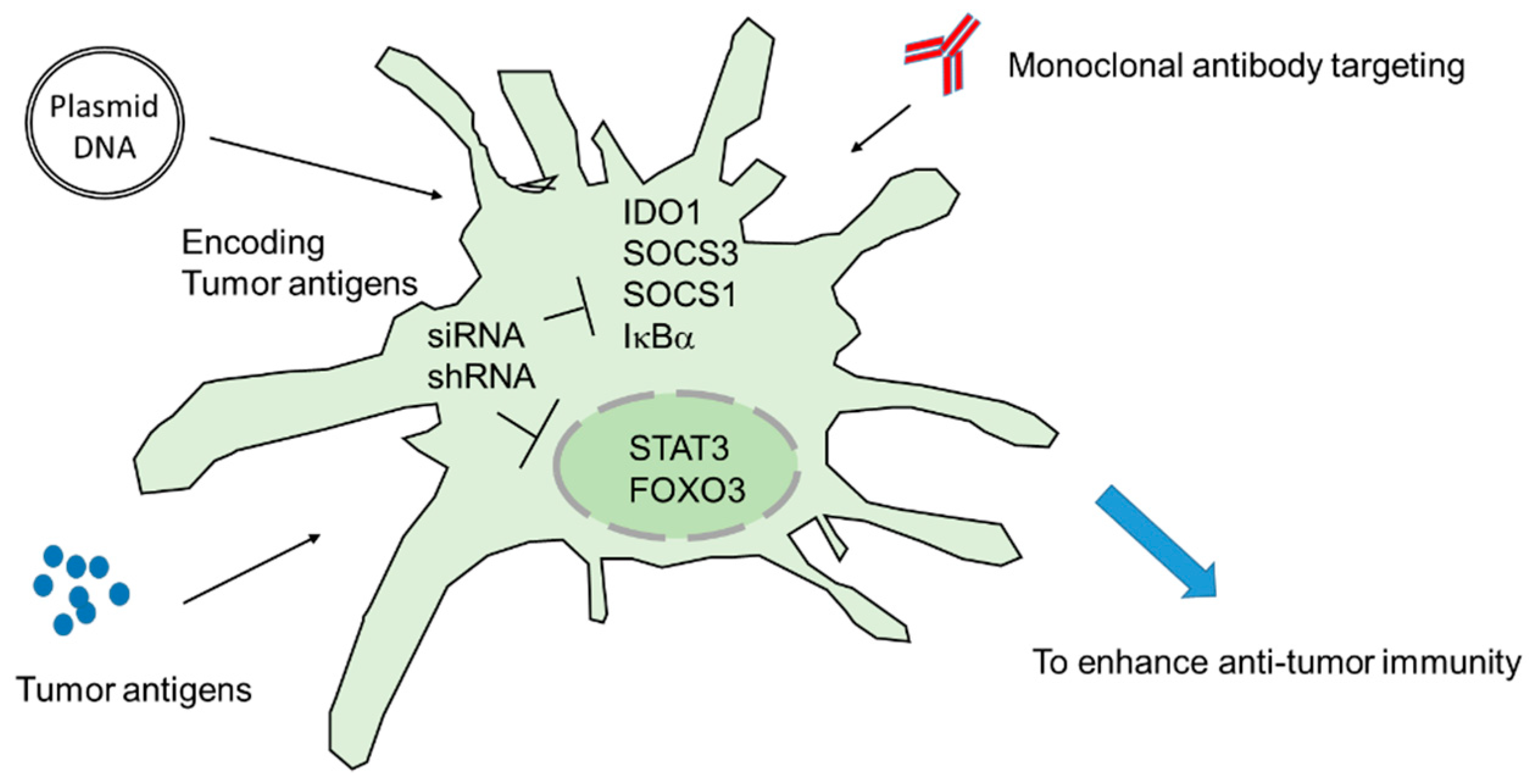 Cancers 11 00108 g002
