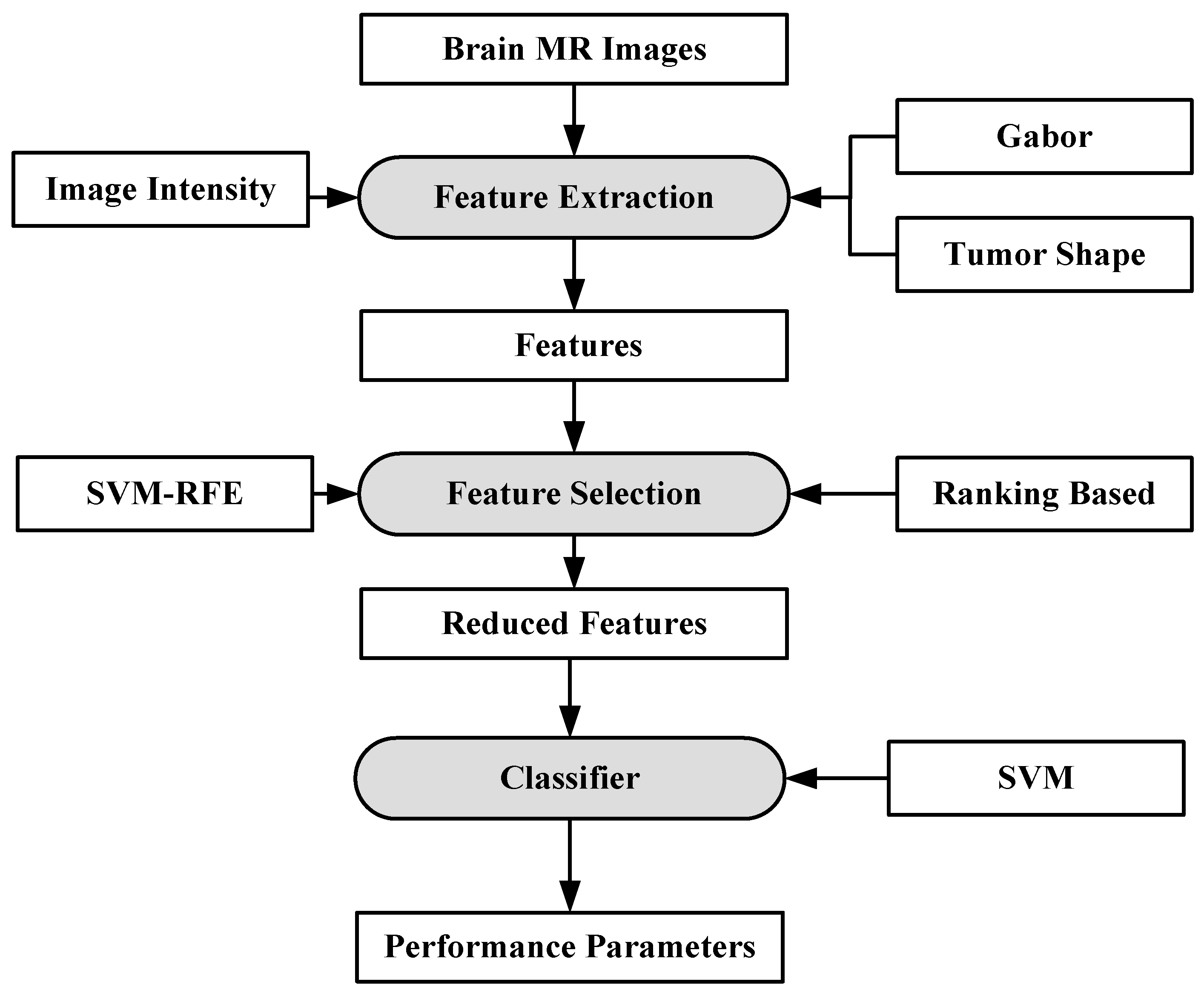 Cancers 11 00111 g008