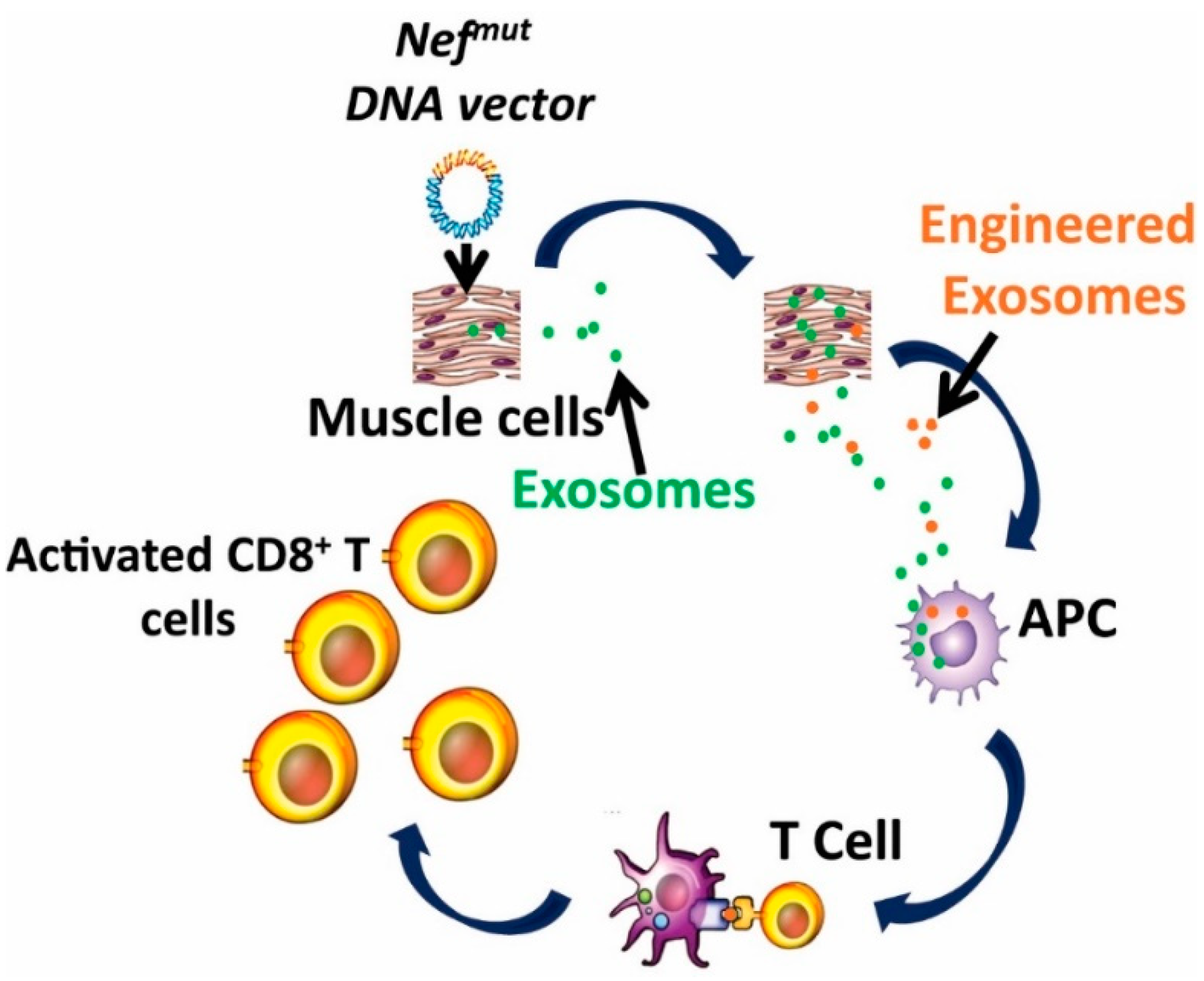 Cancers 11 00138 g002