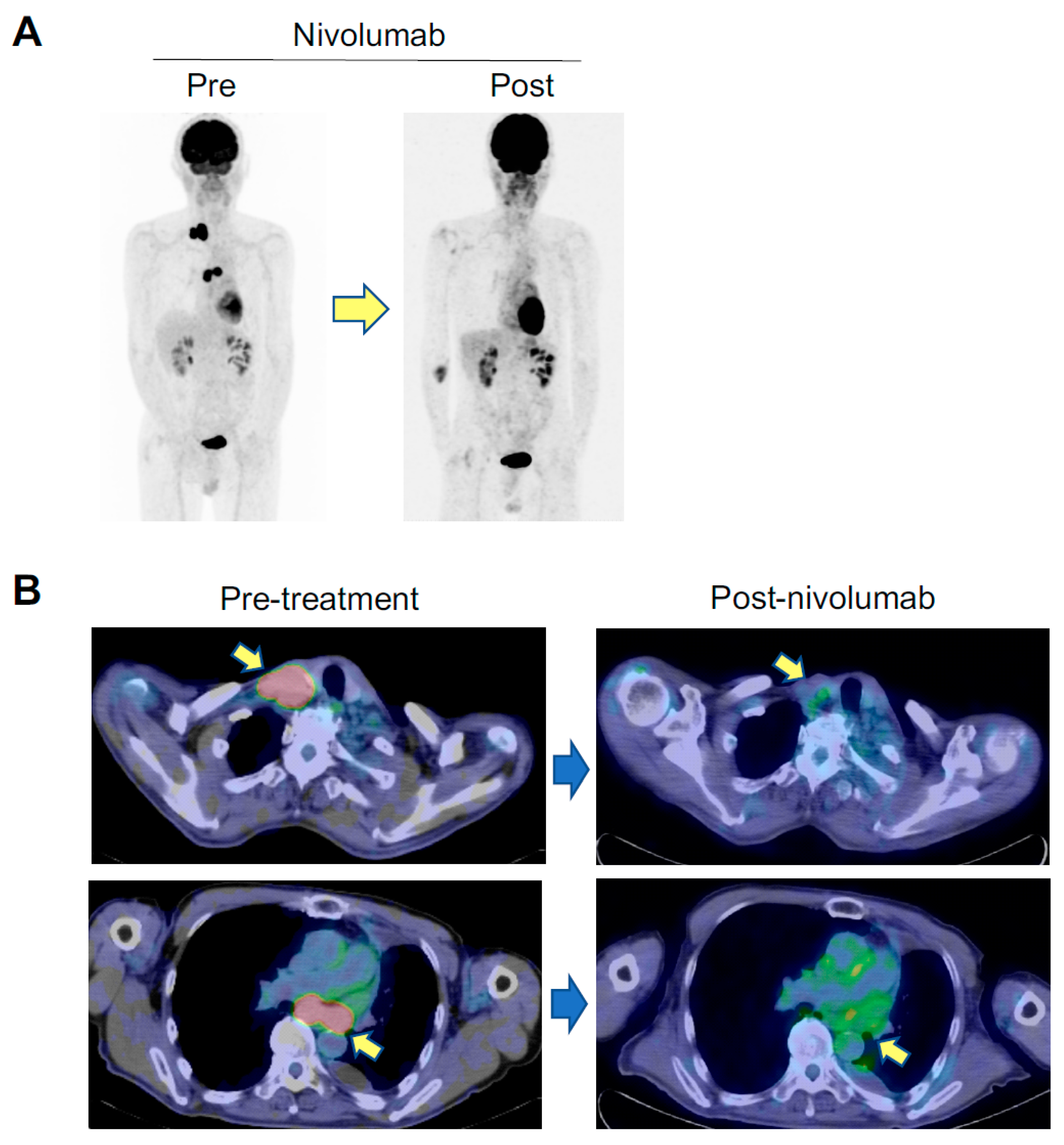 Cancers 11 00140 g001a Cancers 11 00140 g001a