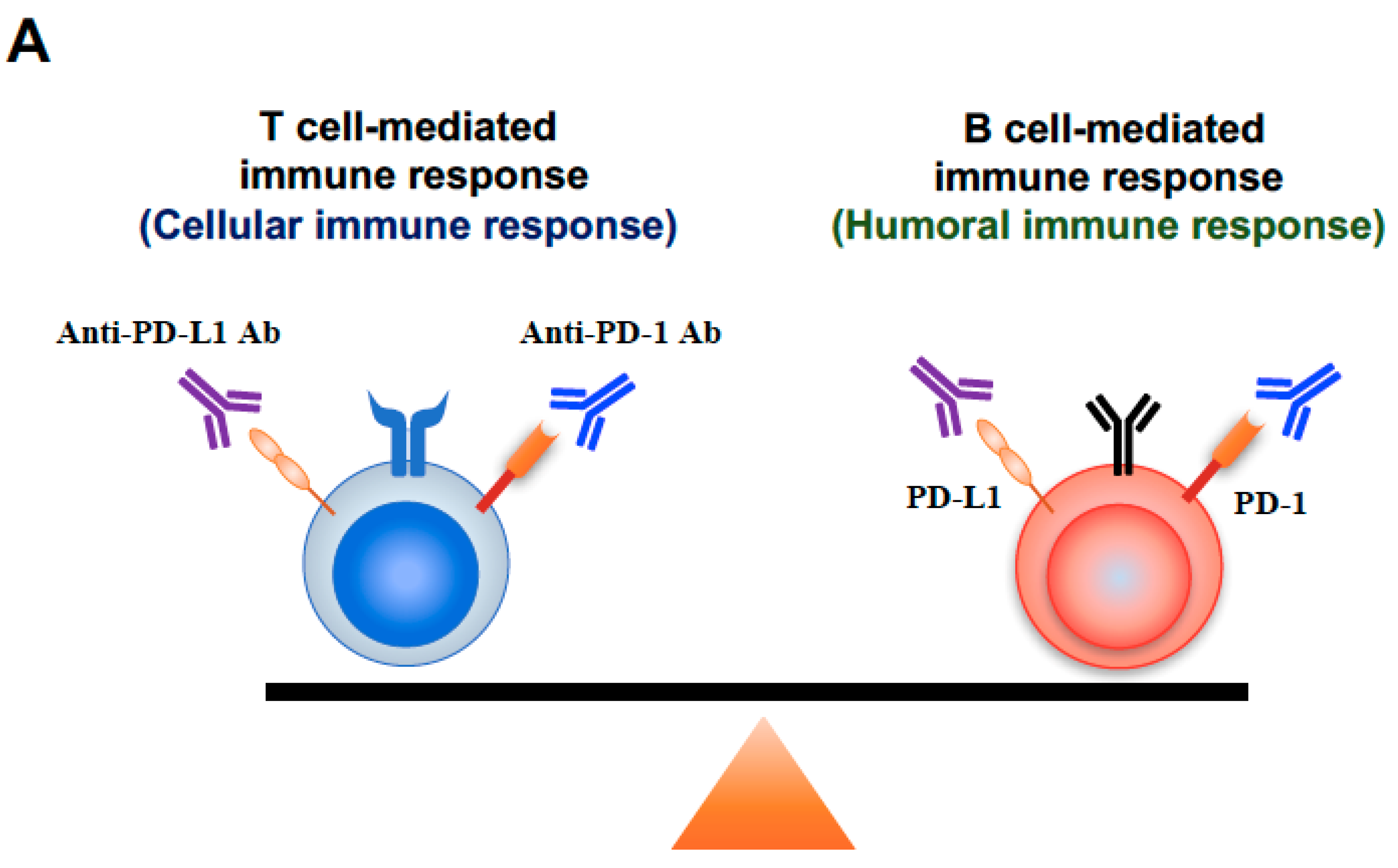Cancers 11 00140 g005a Cancers 11 00140 g005a