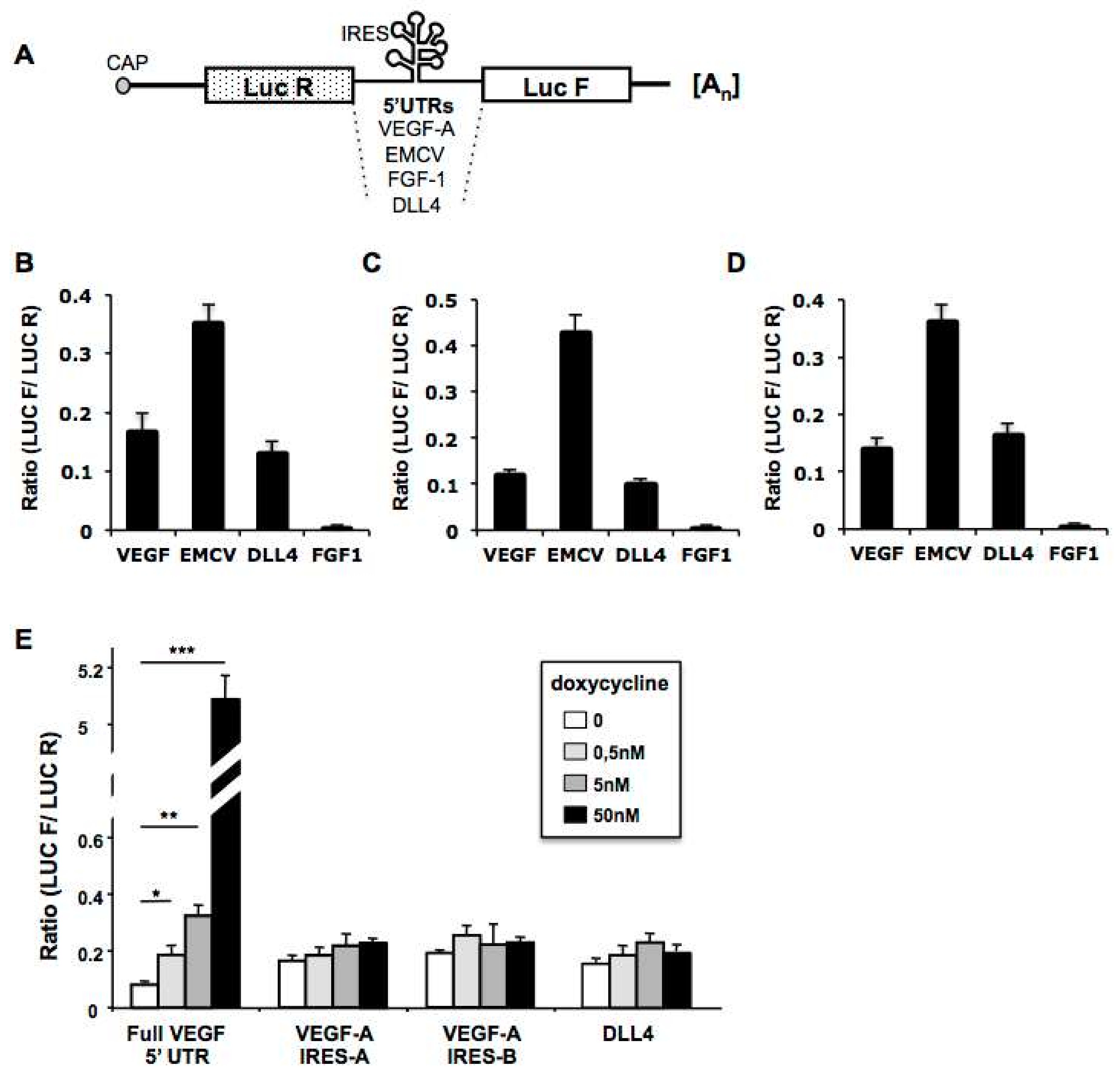 Cancers 11 00142 g001