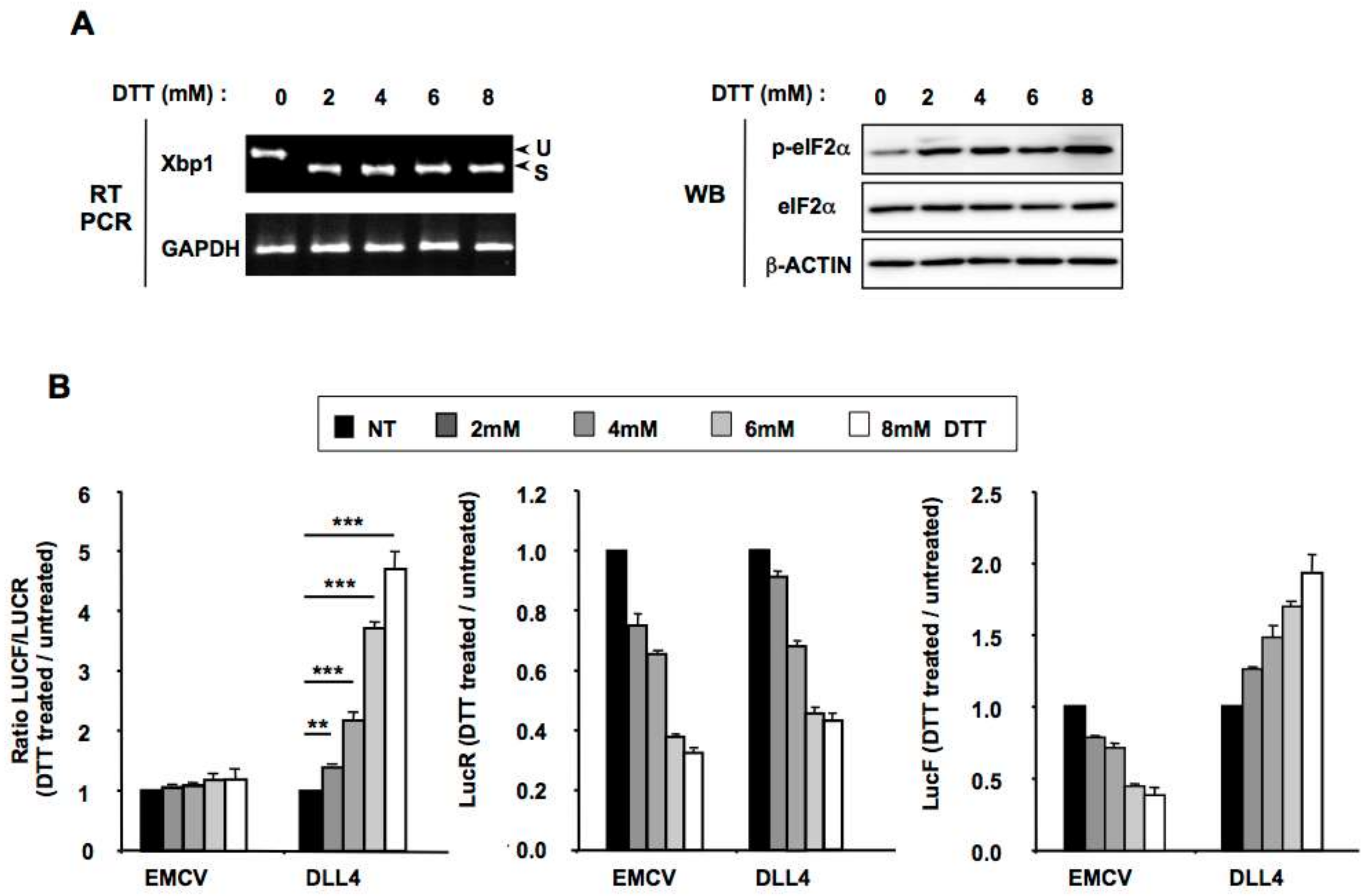 Cancers 11 00142 g003