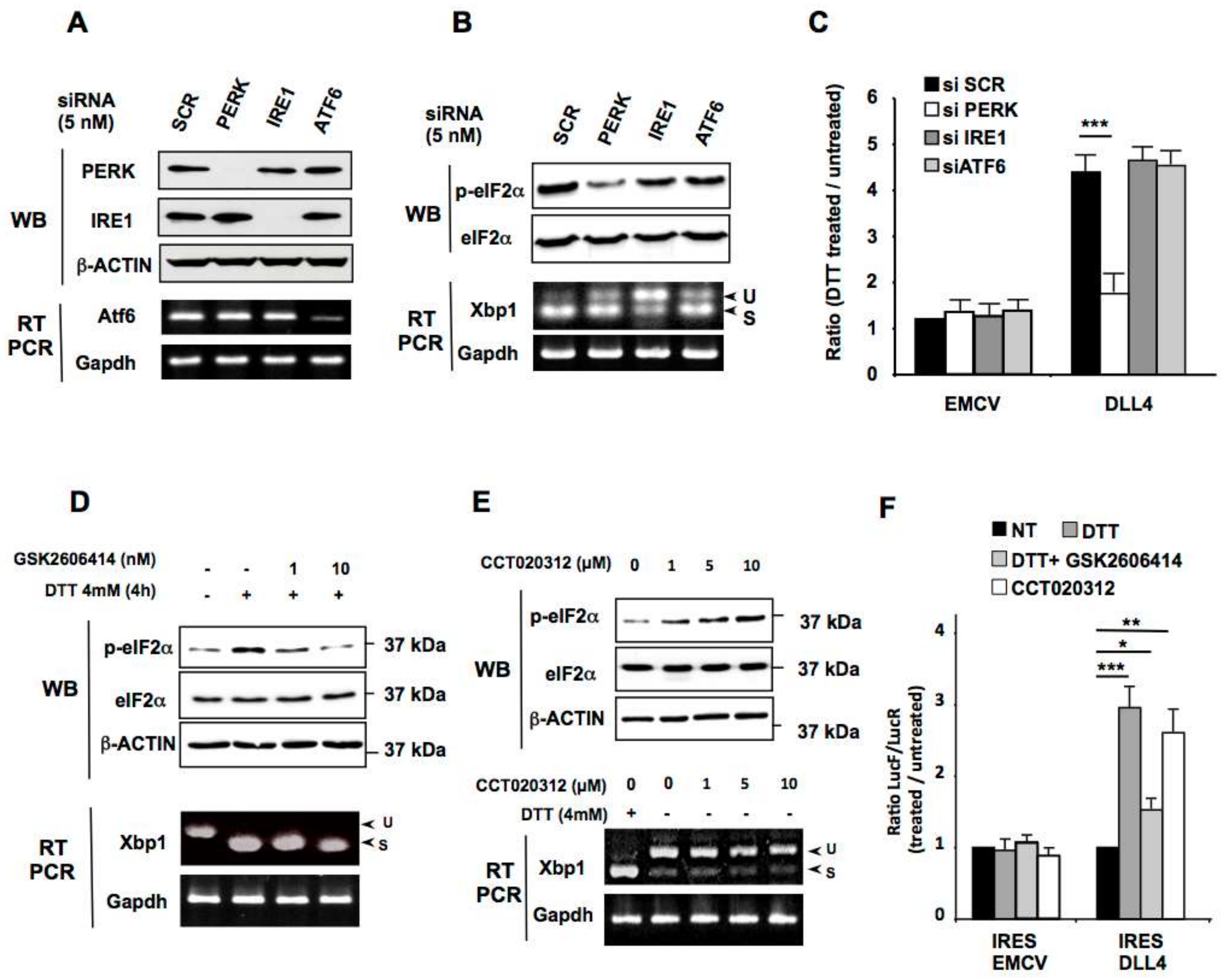 Cancers 11 00142 g004