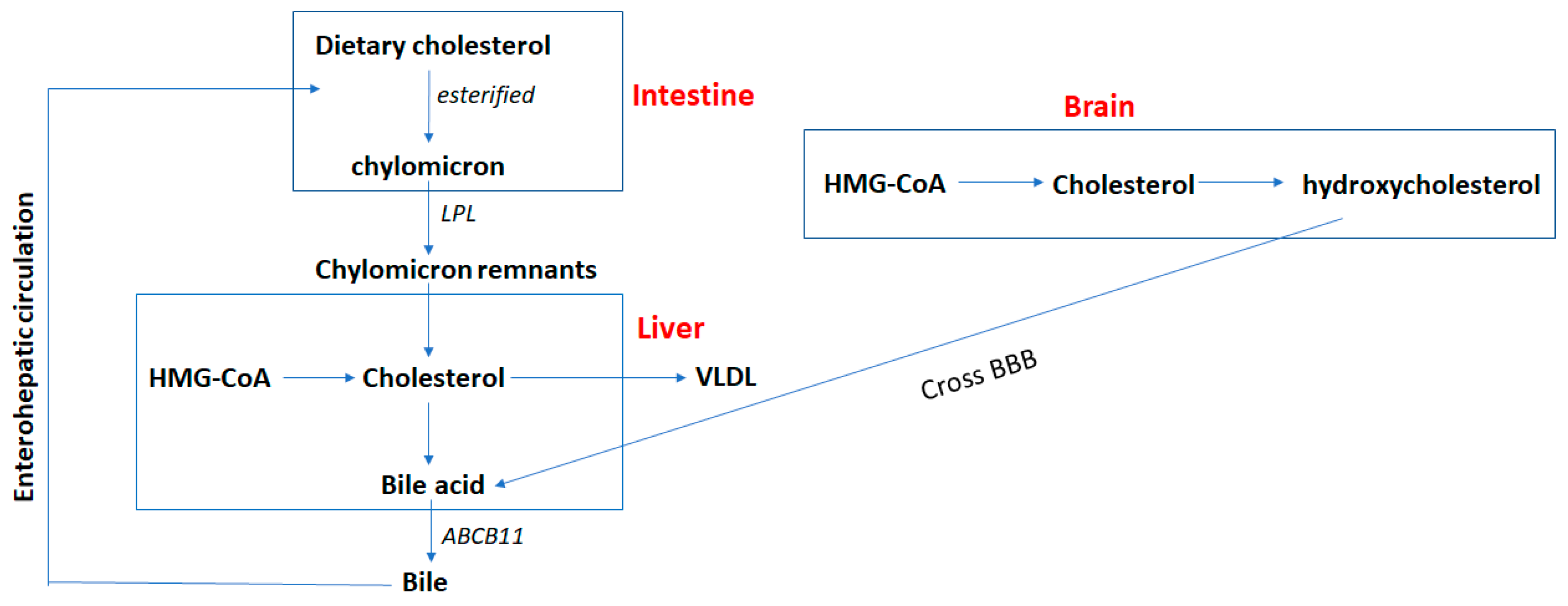 Cancers 11 00146 g002