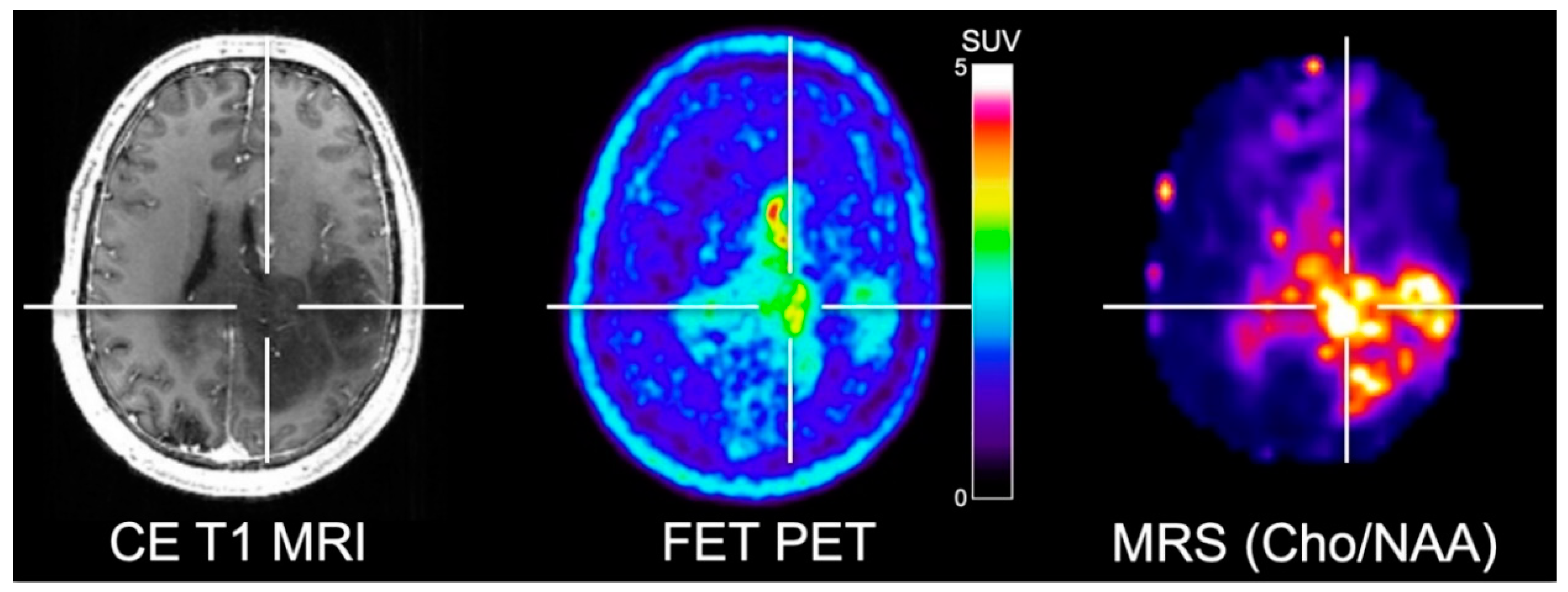 Cancers 11 00153 g001