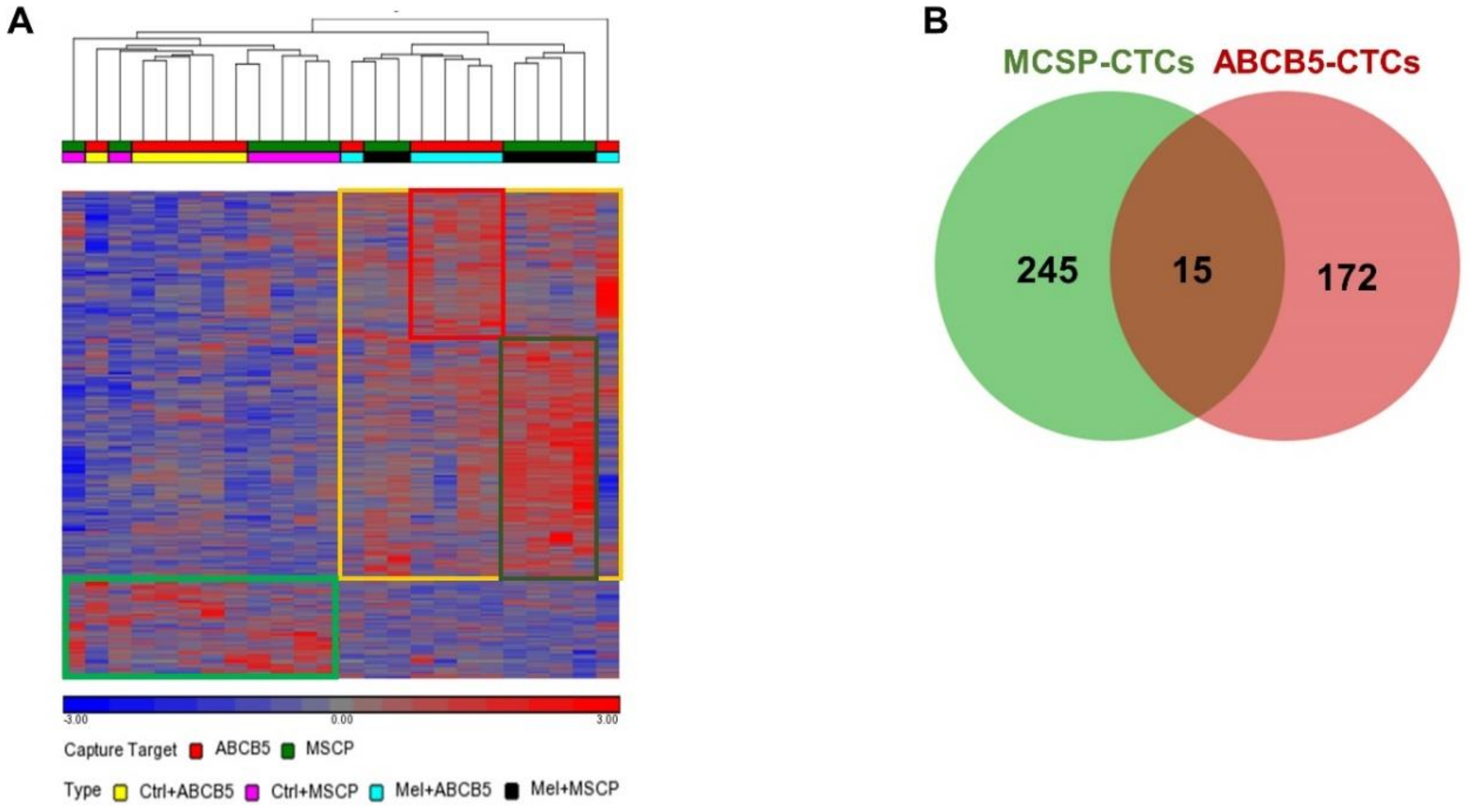 Cancers 11 00157 g002