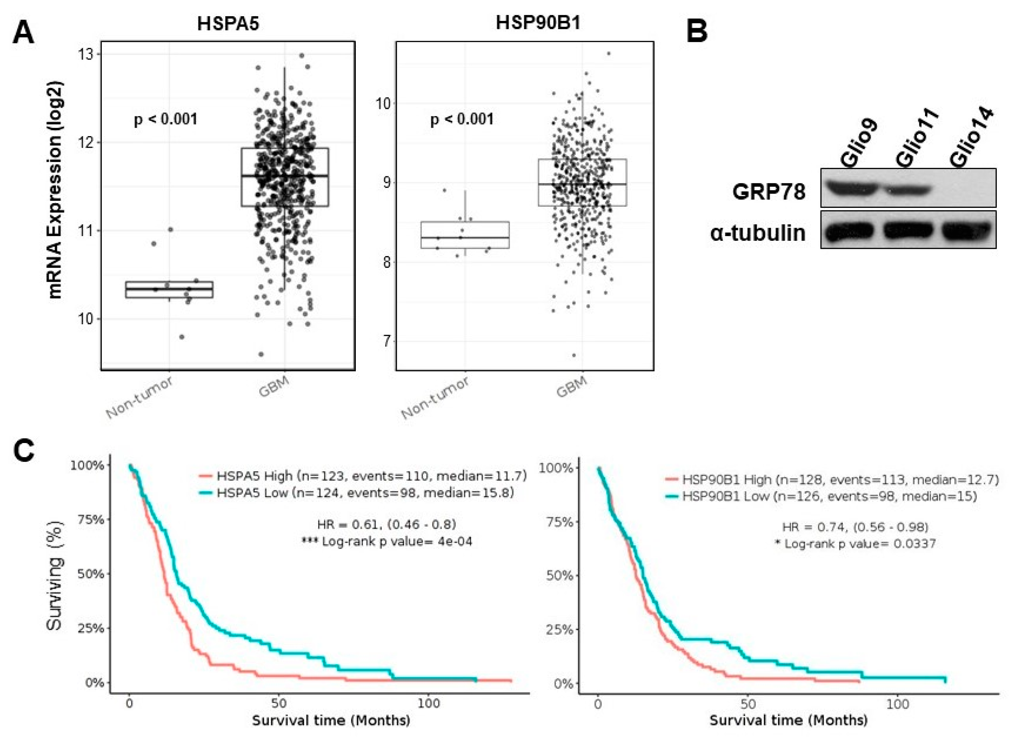 Cancers 11 00159 g003