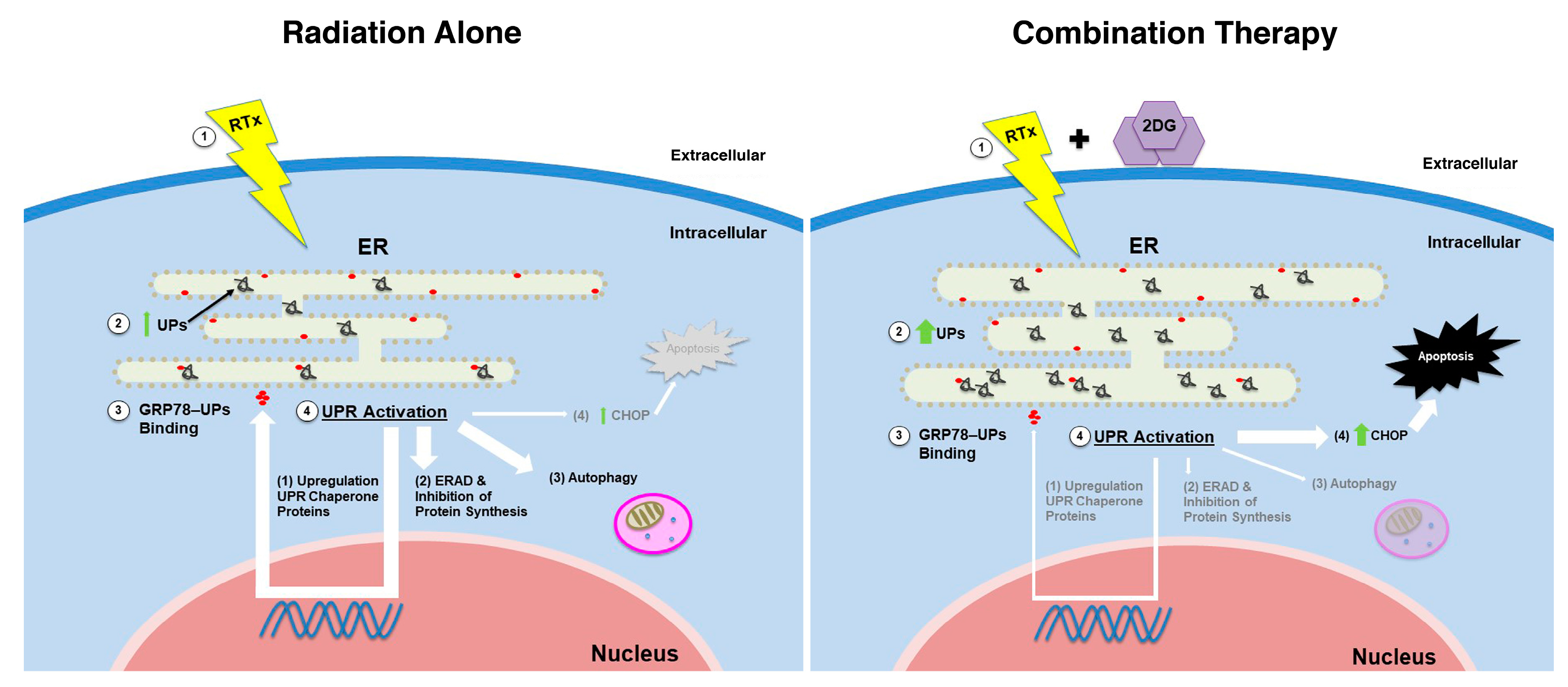 Cancers 11 00159 g007